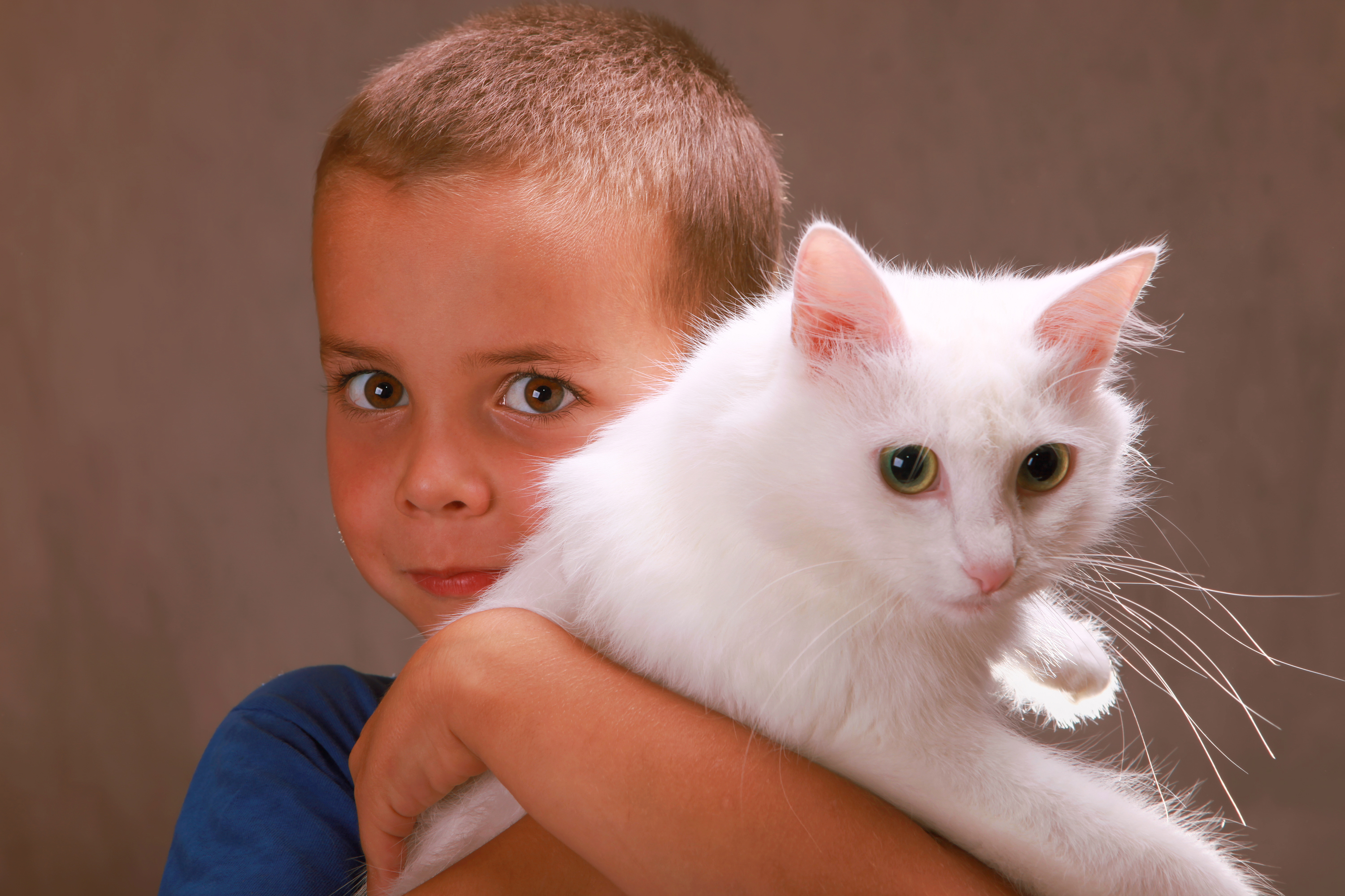 Boy holding a cat photo
