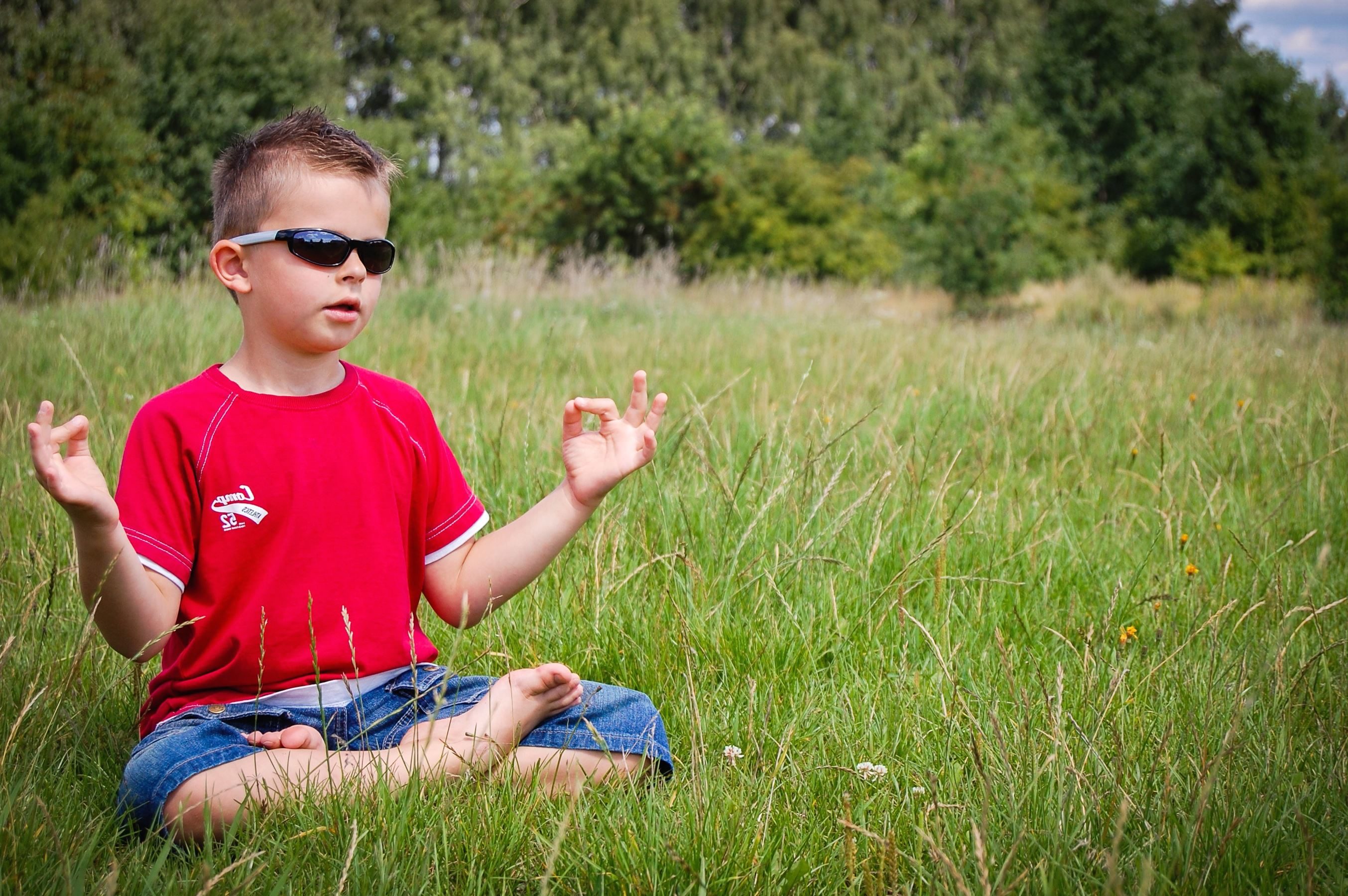 Free picture: child, boy, grass, meadow, sunglasses, meditation ...