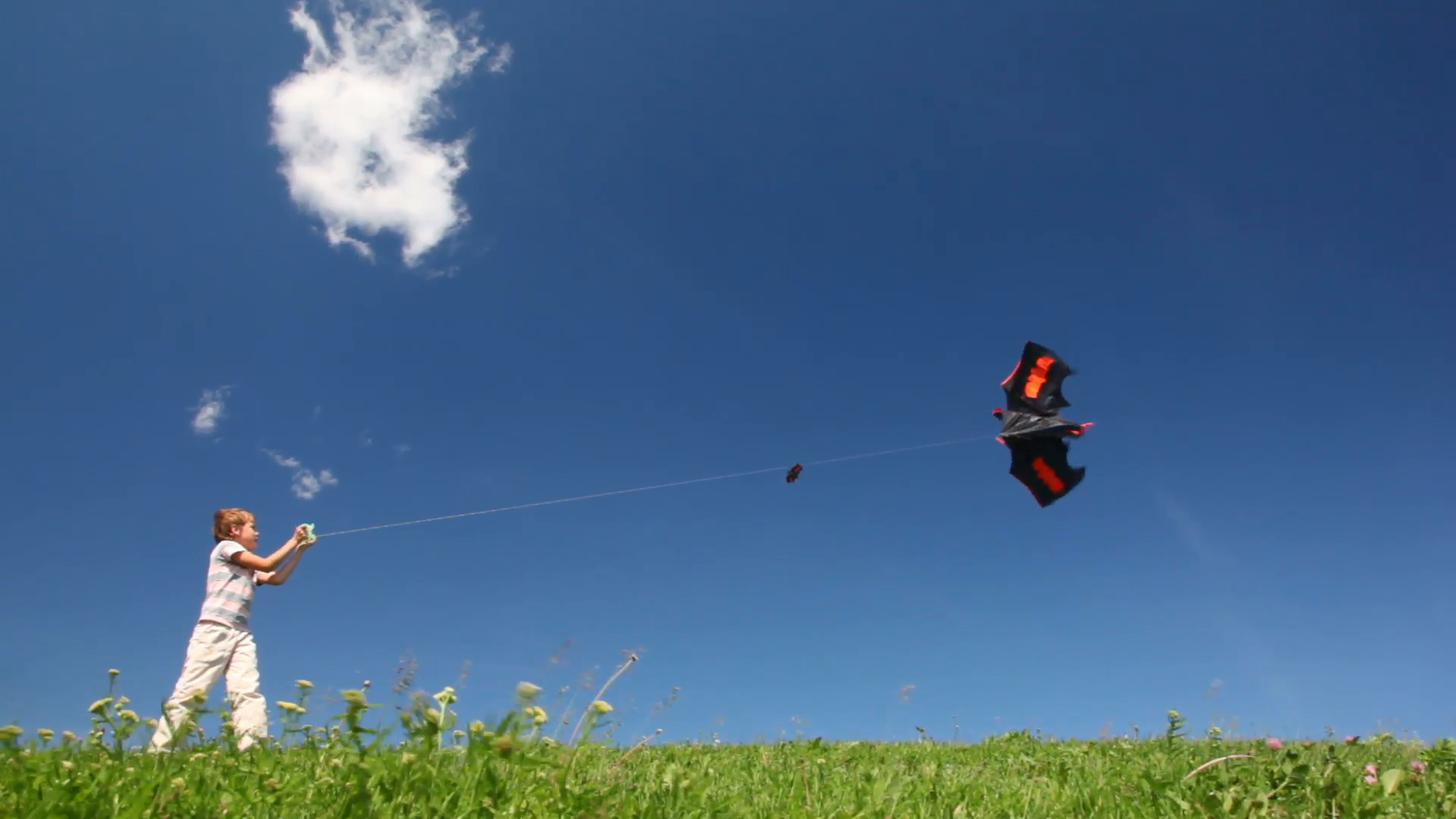 Boy plays kite in meadow against blue sky Stock Video Footage ...