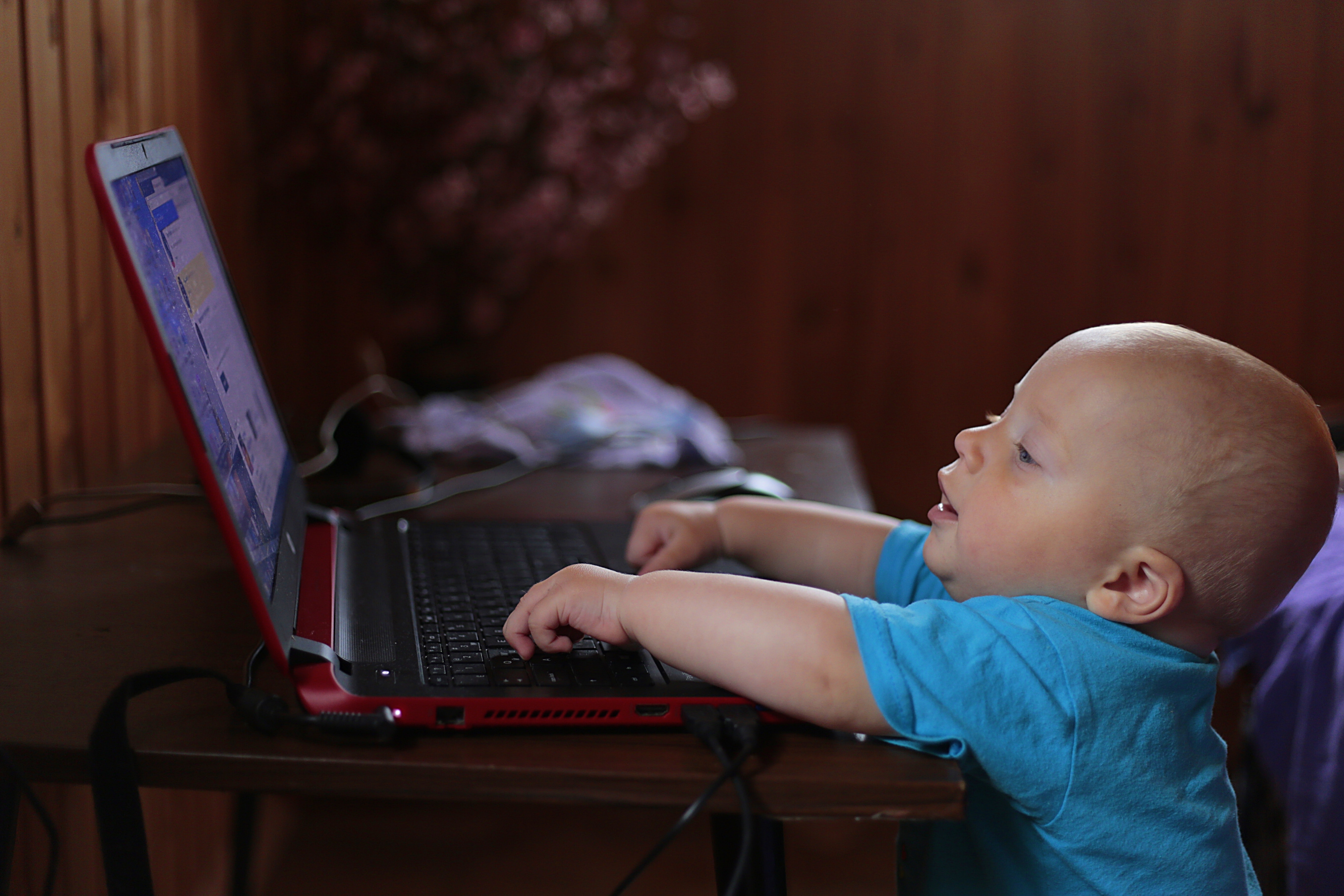 Boy Wearing Blue T Shirt Using Black Laptop Computer in a Dim Lighted Scenario, Baby, Boy, Child, Computer, HQ Photo