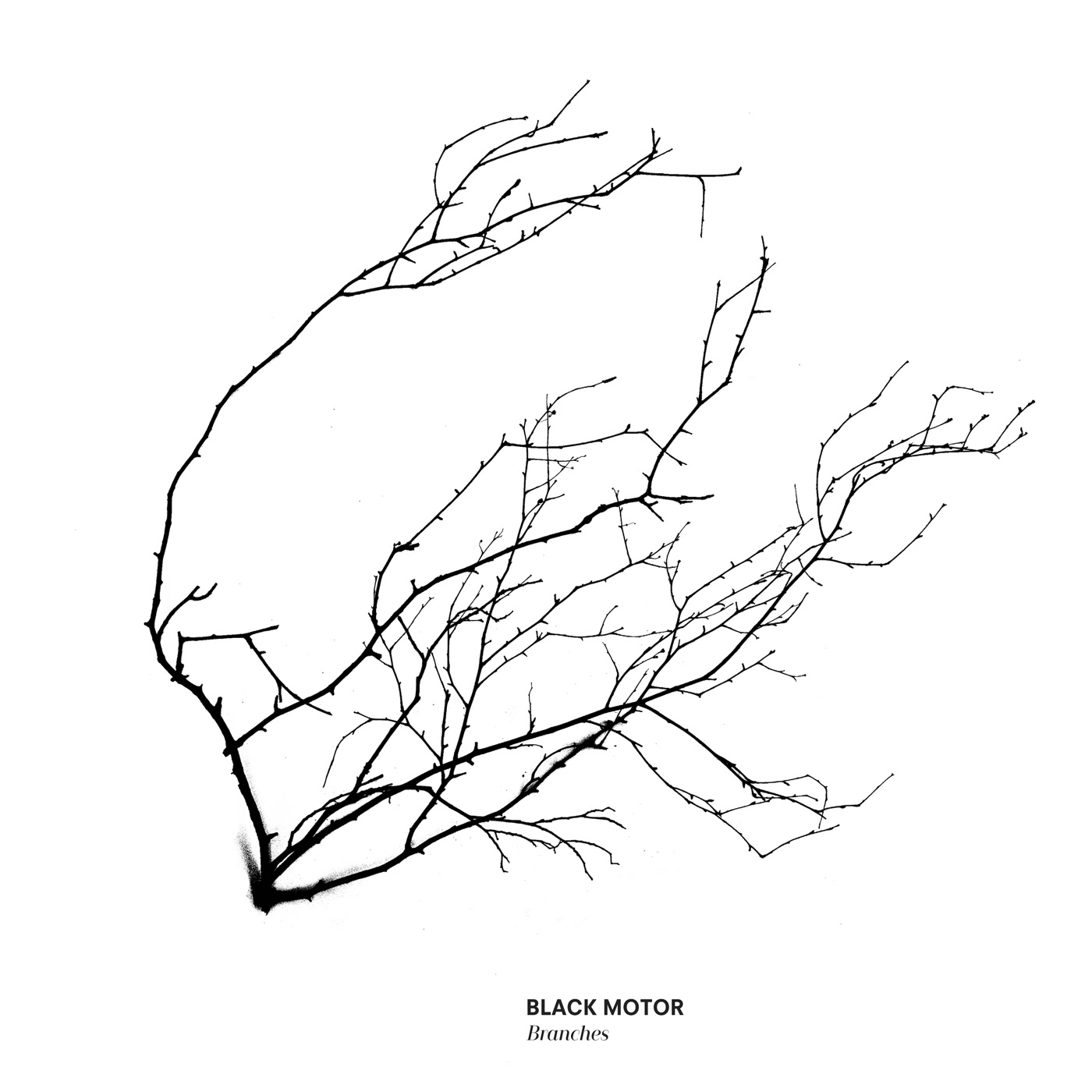 Branches - Black Motor | Kudos Records