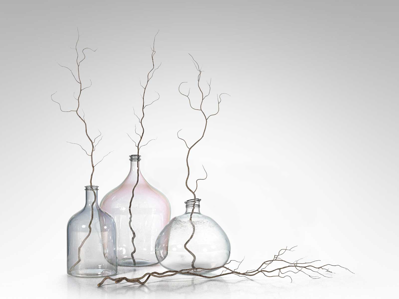 Bottle Vases with Branches