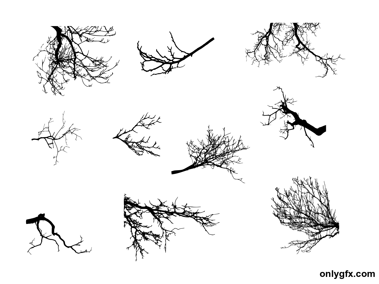10 Tree Branches Silhouette (PNG Transparent) Vol. 2 | OnlyGFX.com