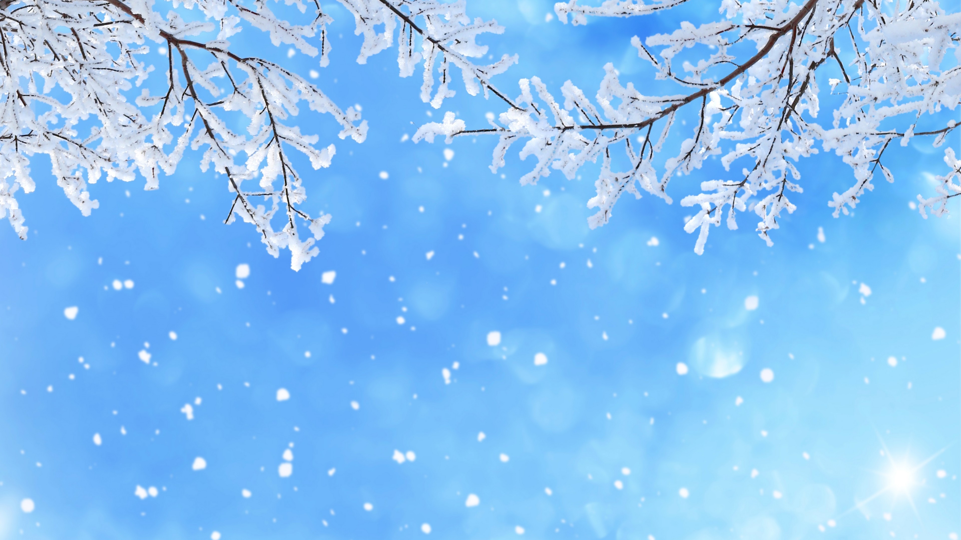 Wallpaper Winter snow, Snowfall, Branches, 5K, Nature, #3846