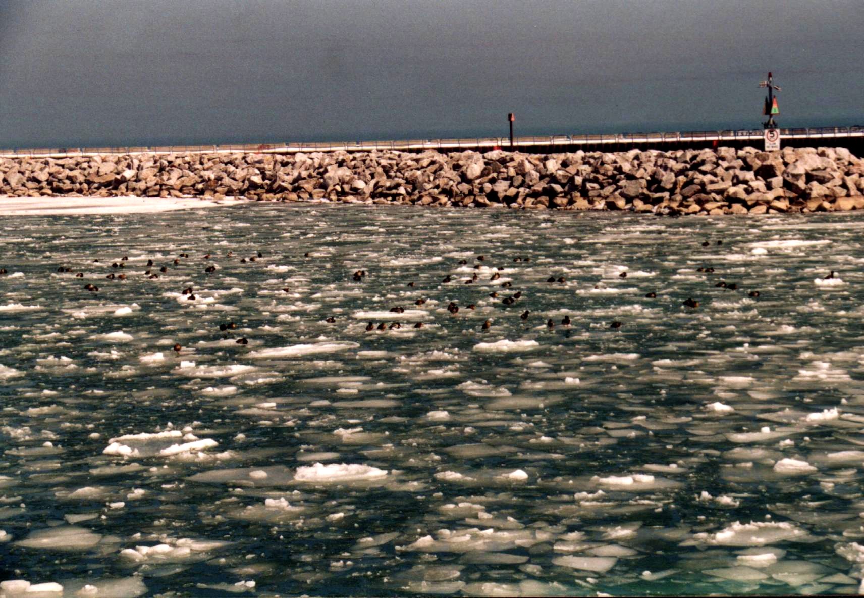 Breakwater in winter photo