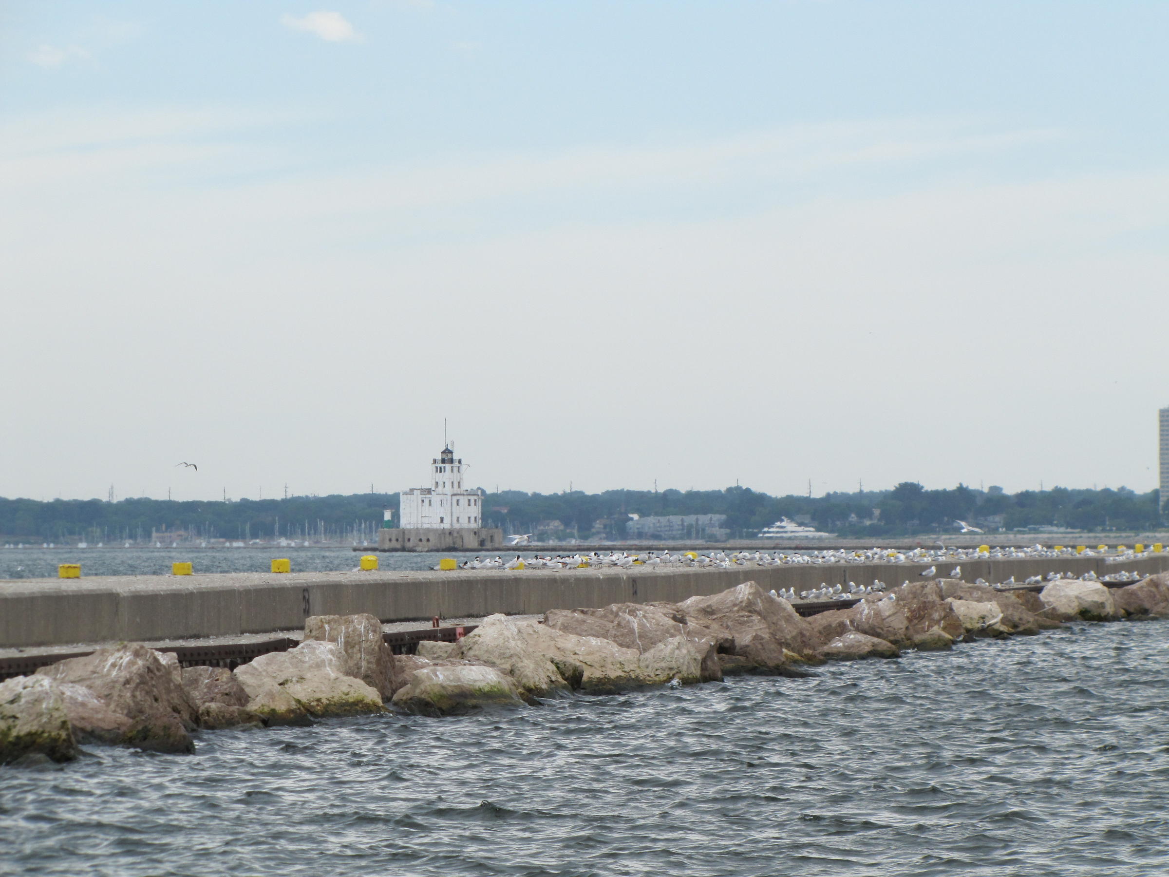 Army Corps Collaborates with UWM to Create Breakwater Habitat in ...
