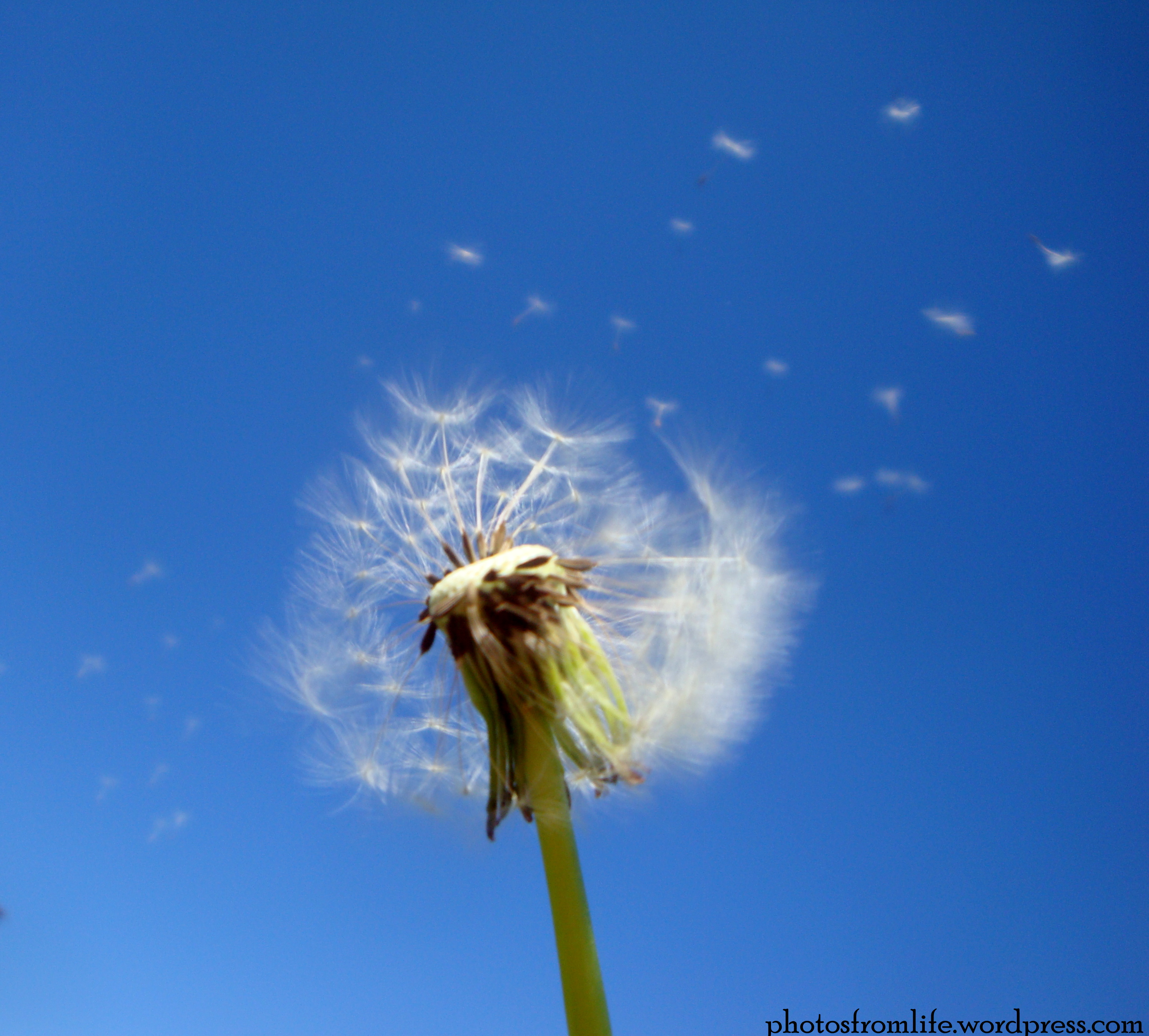 Photo: Summer Breeze | Photos From Life