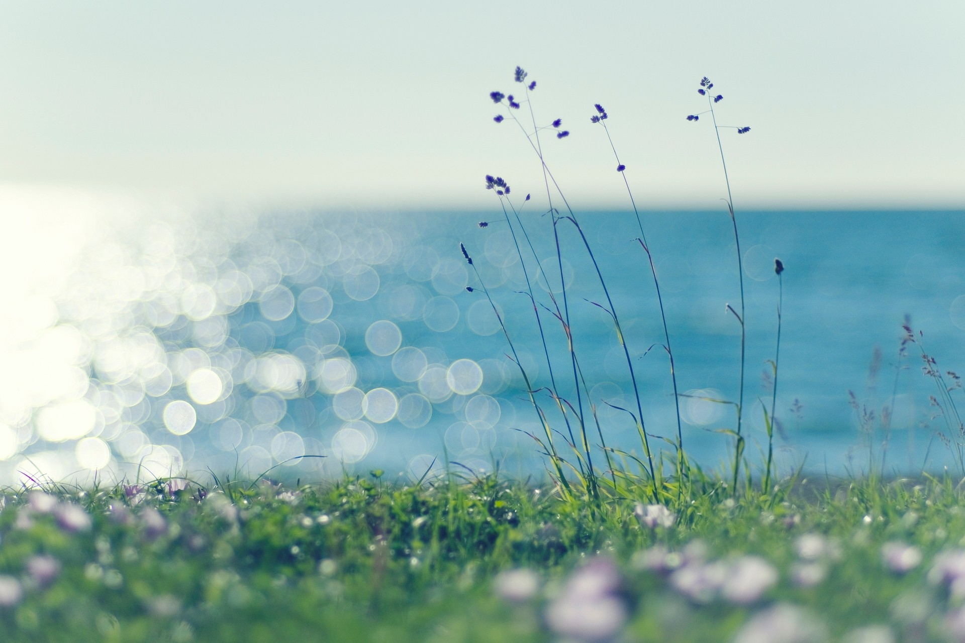 A Spring Breeze - OGQ Backgrounds HD