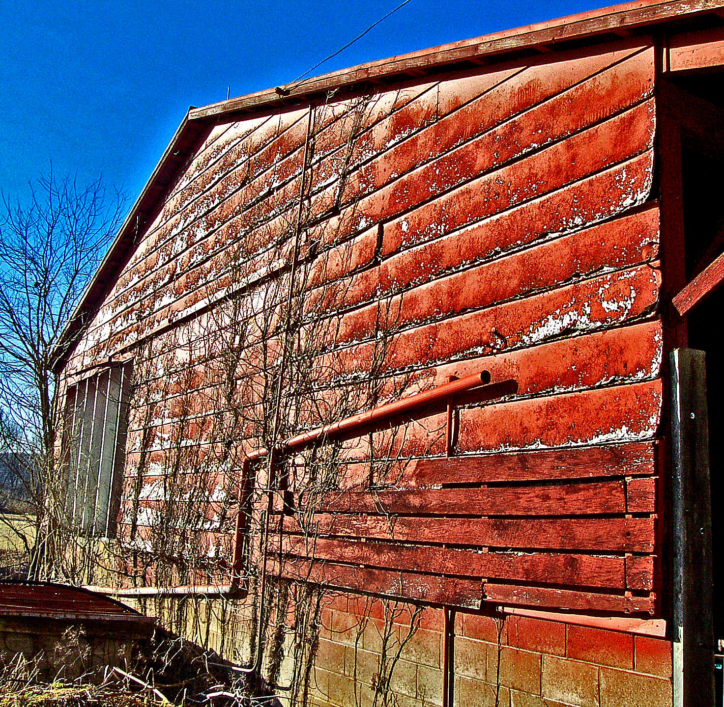 File:Abandoned Cattle Shed (98209840).jpg - Wikimedia Commons