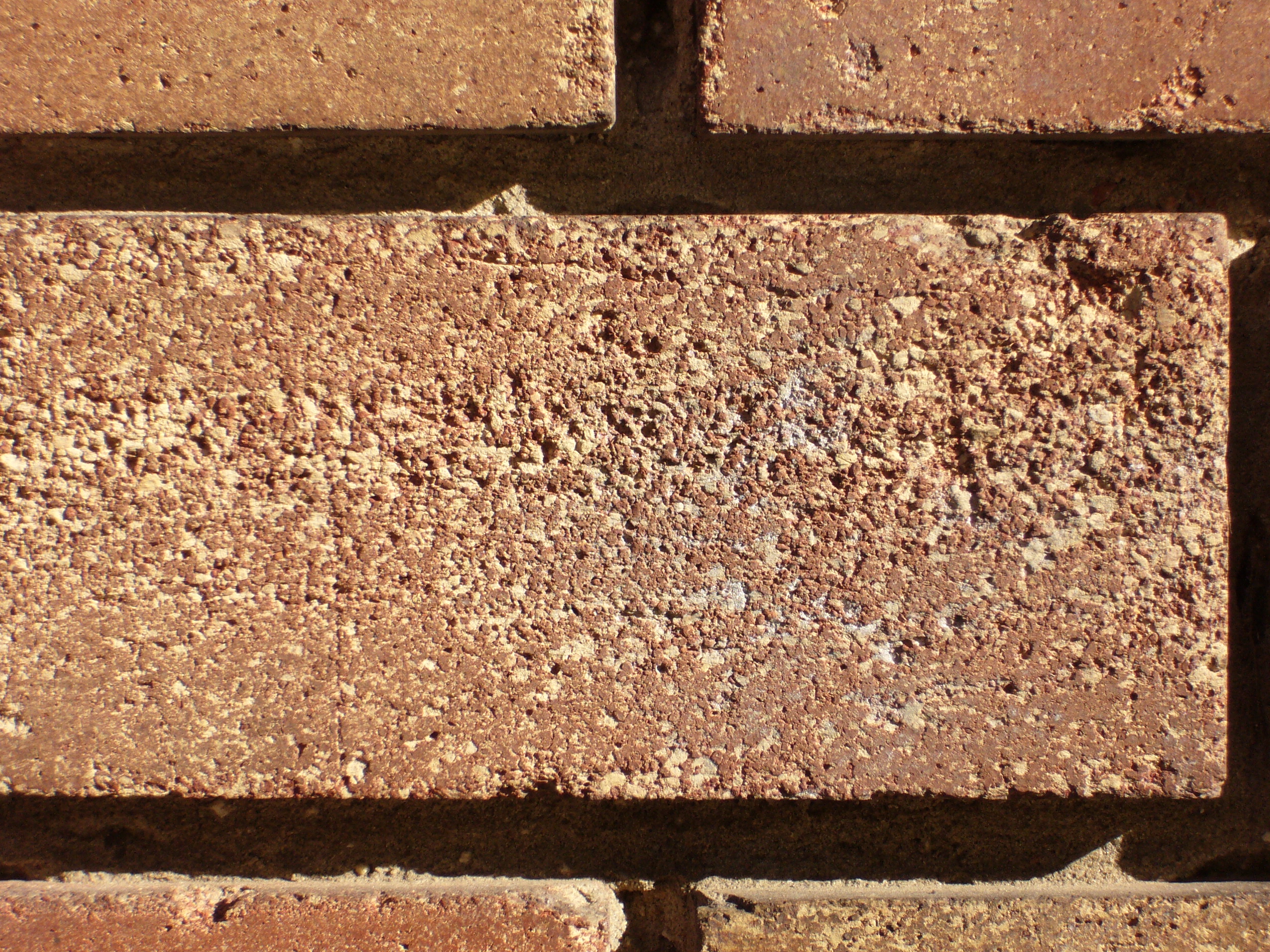 Brick texture (wall, surface)