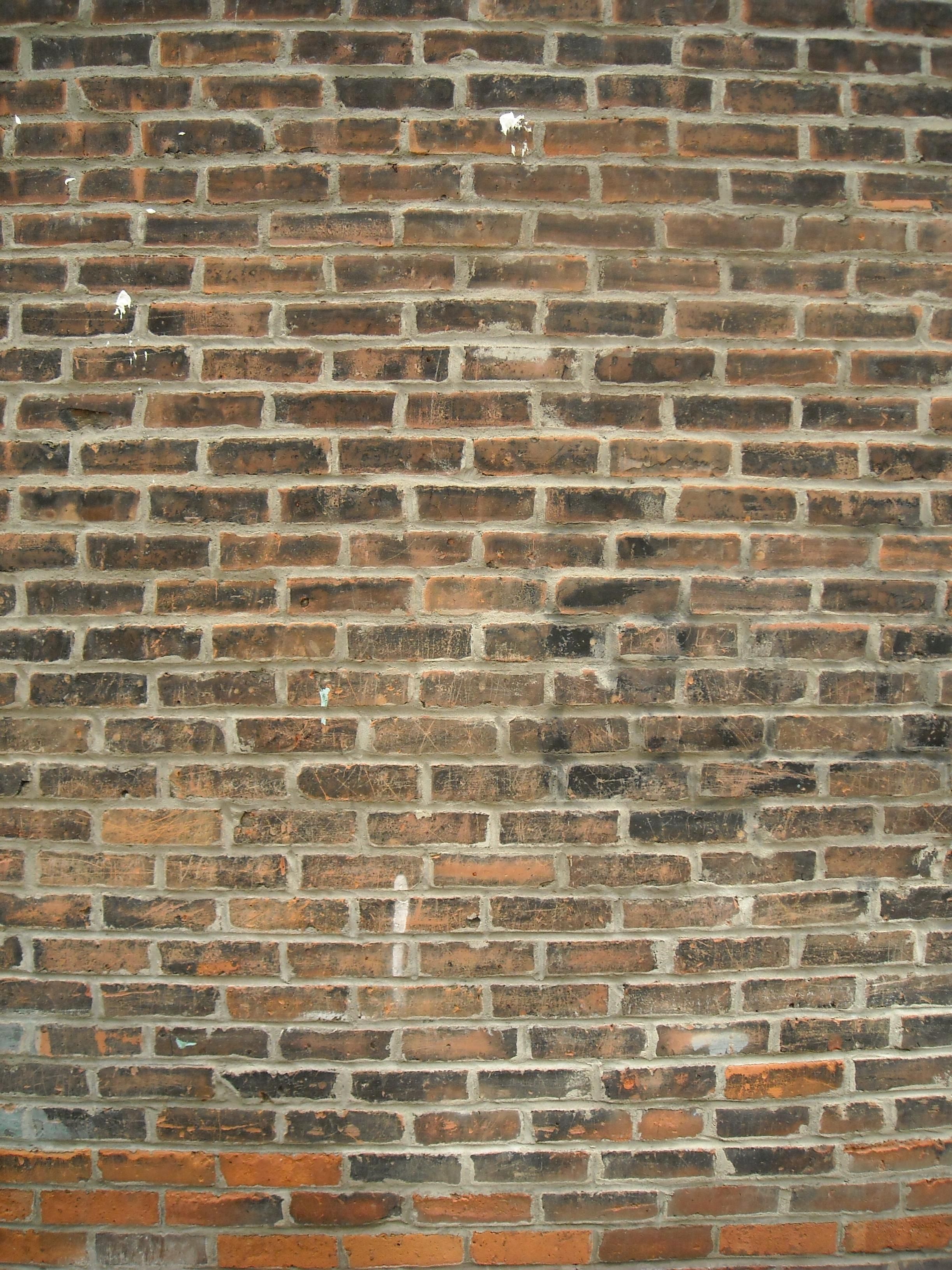 File:Brick high definition texture.jpg - Wikimedia Commons