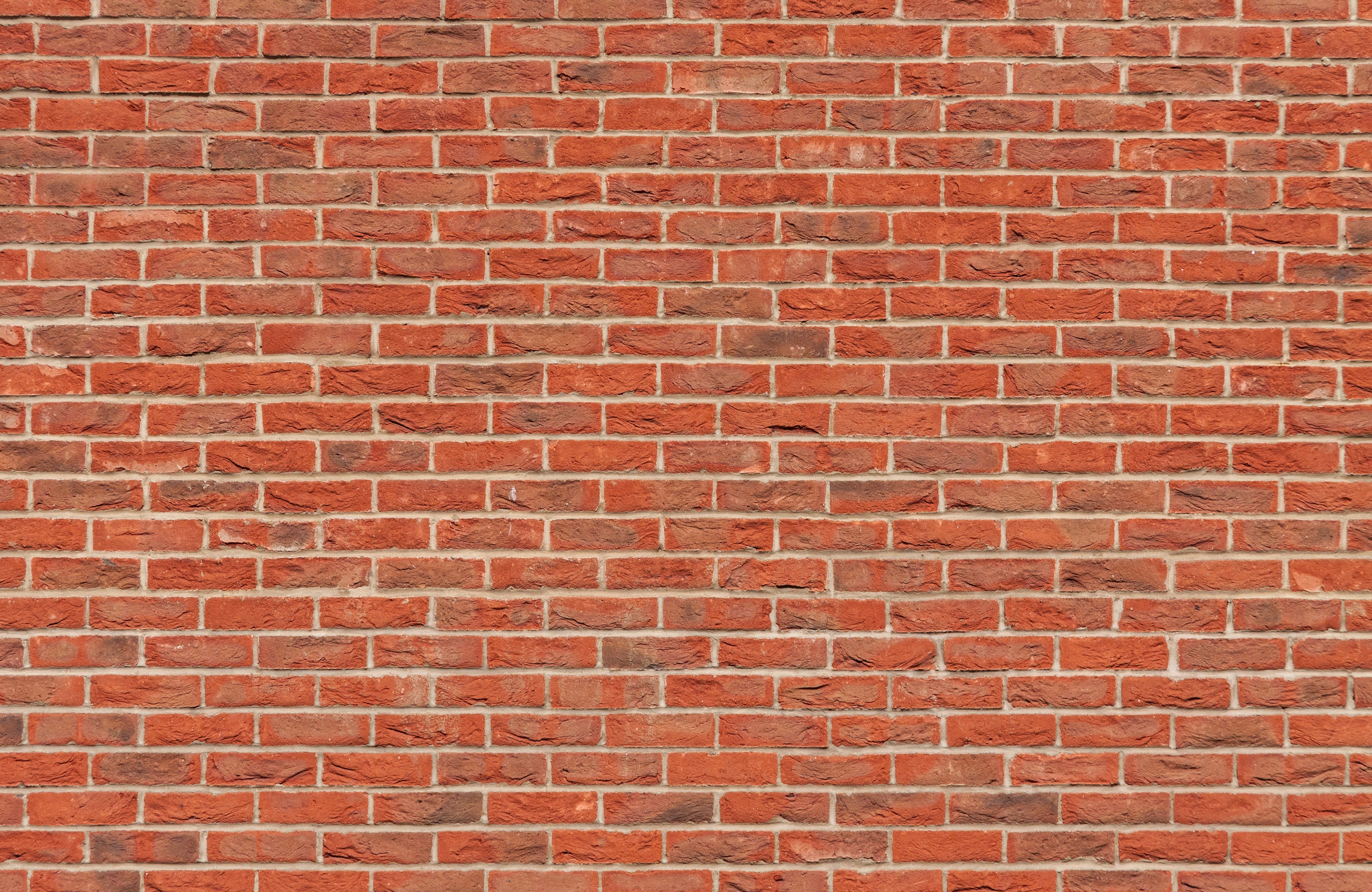 Wall brick photo