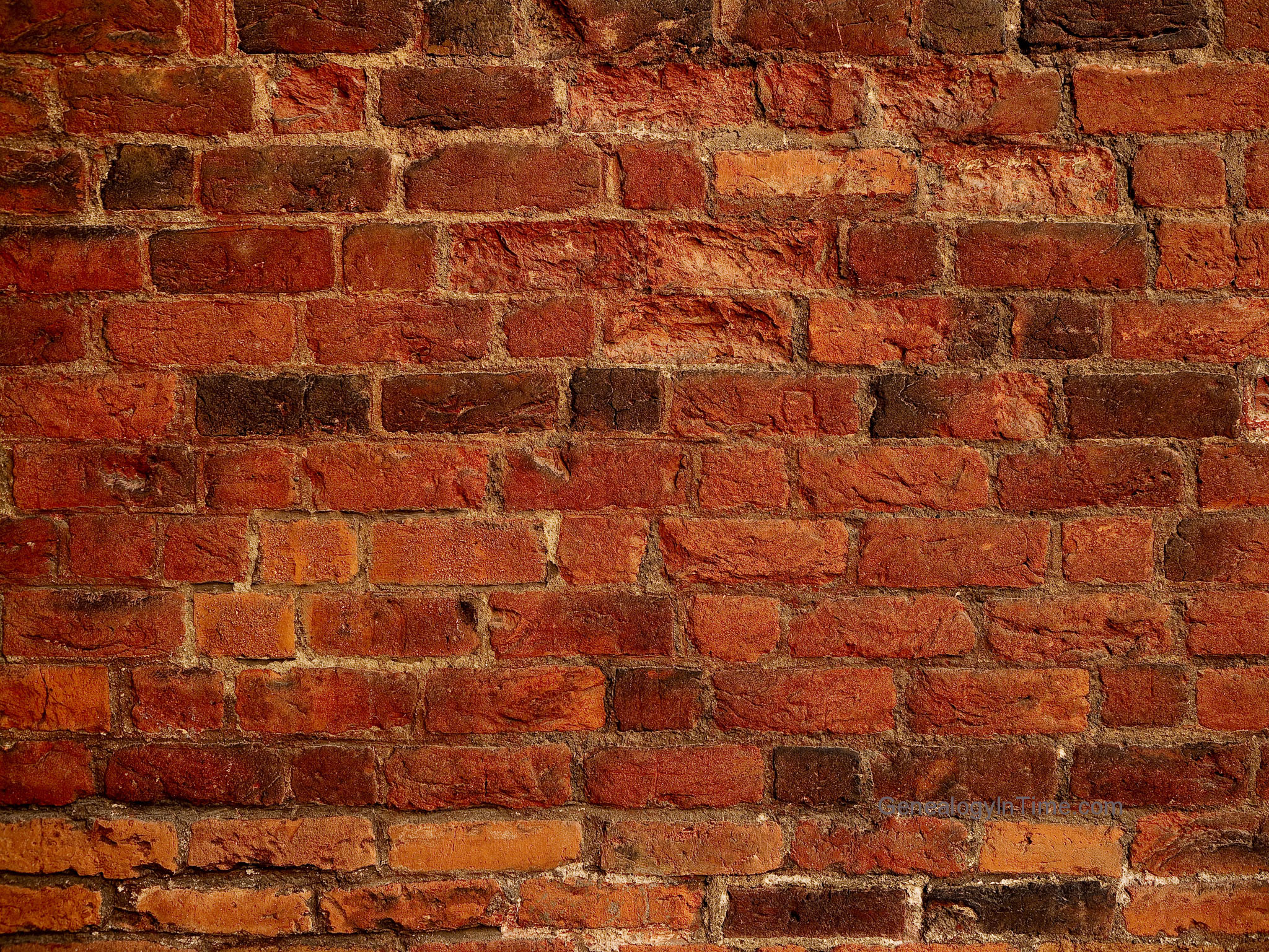 Brick Wall - DMA Homes | #55736