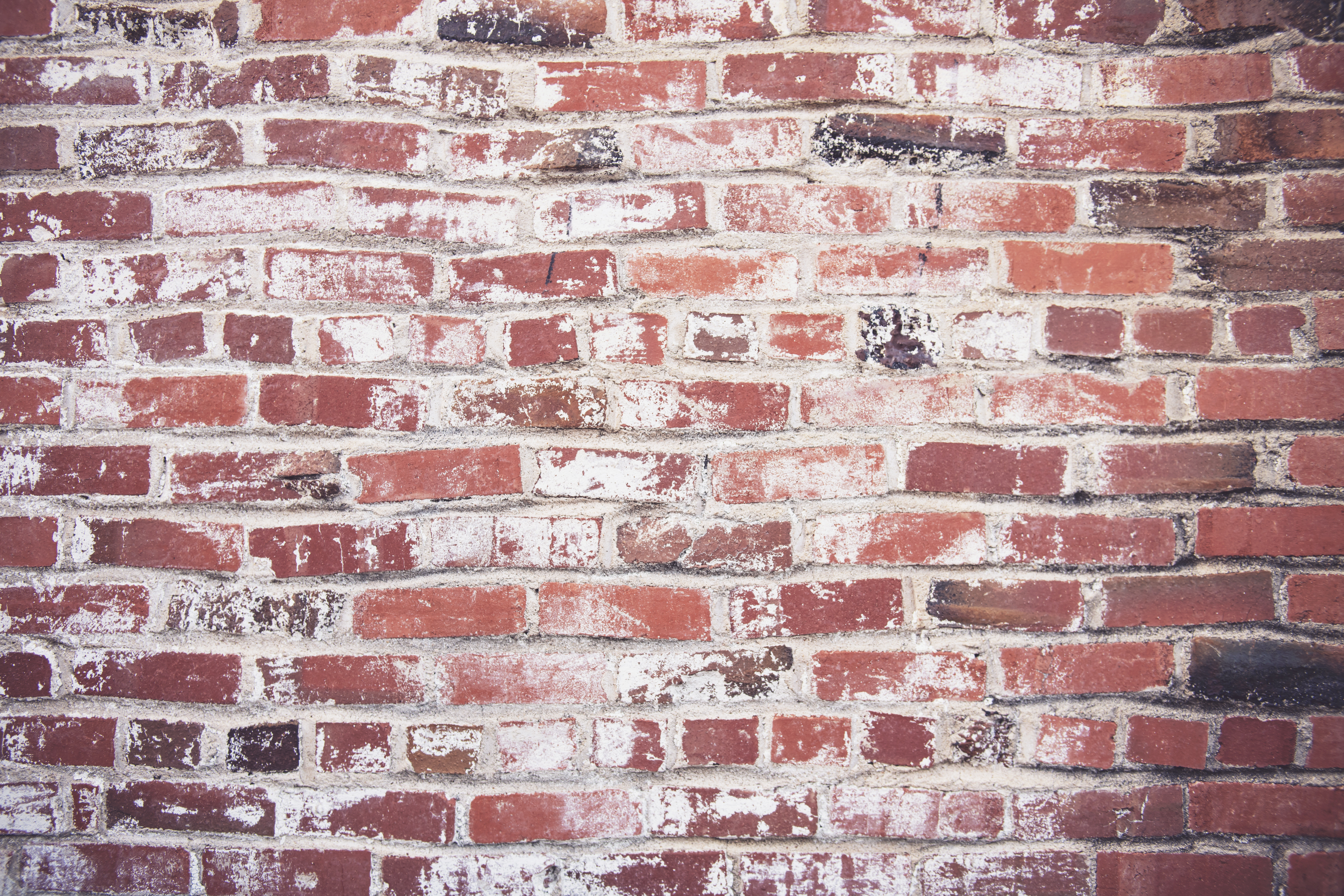 1000+ Interesting Brick Wall Photos · Pexels · Free Stock Photos