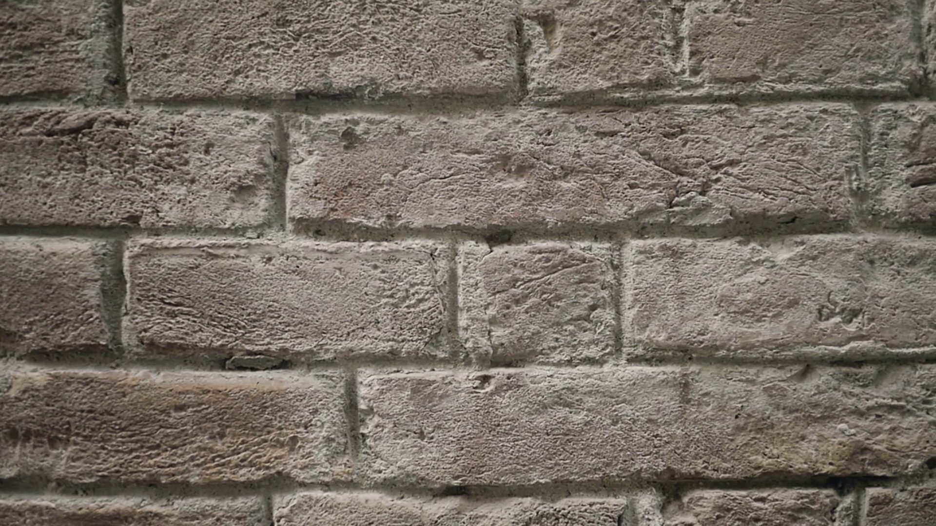 Medium close up handheld shot of bricks cemented in a wall. Stock ...