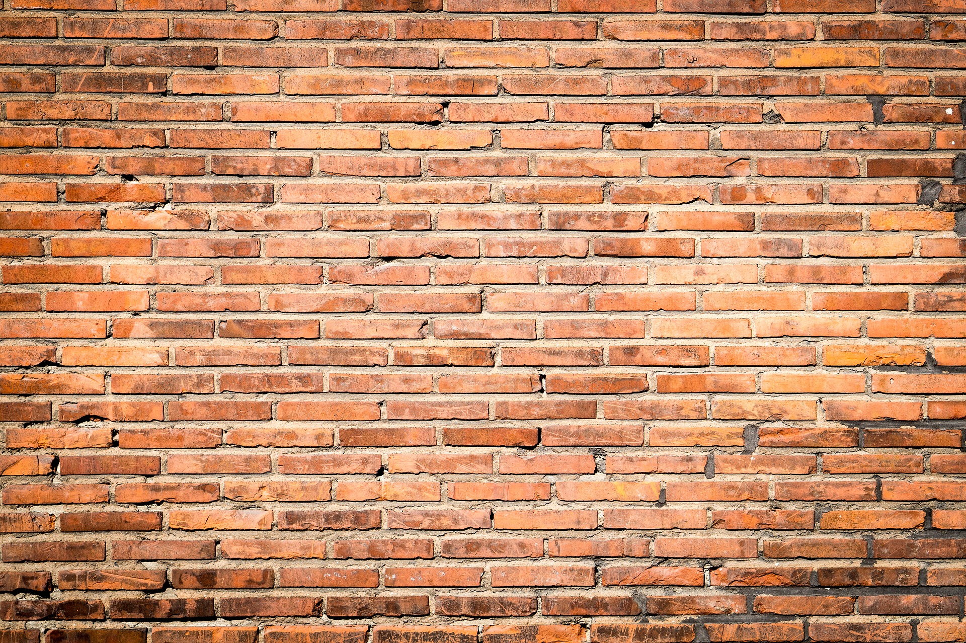 Bricks texture photo