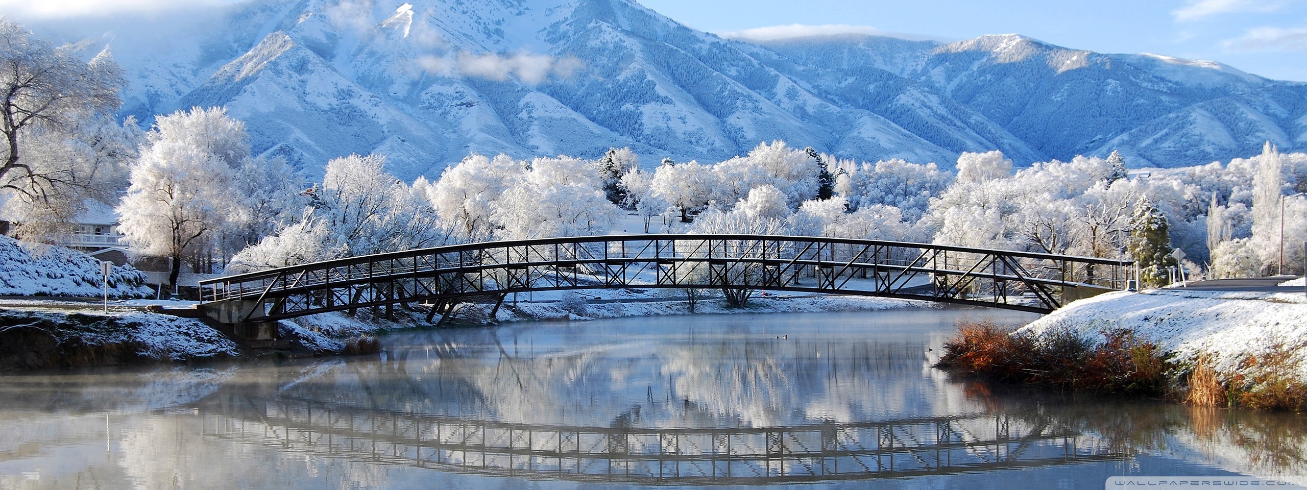 Winter bridge photo