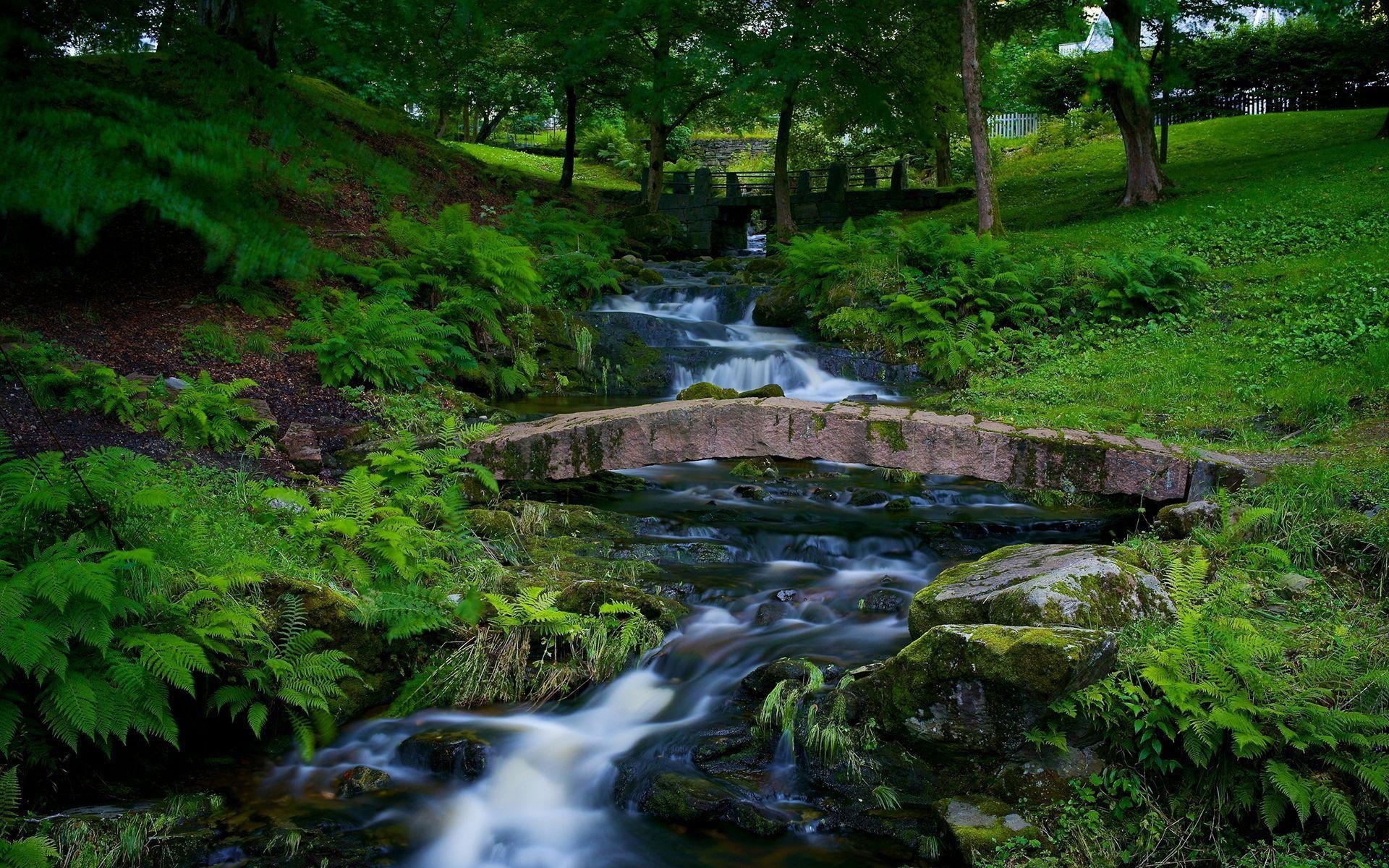 Small Bridge over Stream in Park Full HD Wallpaper and Background ...