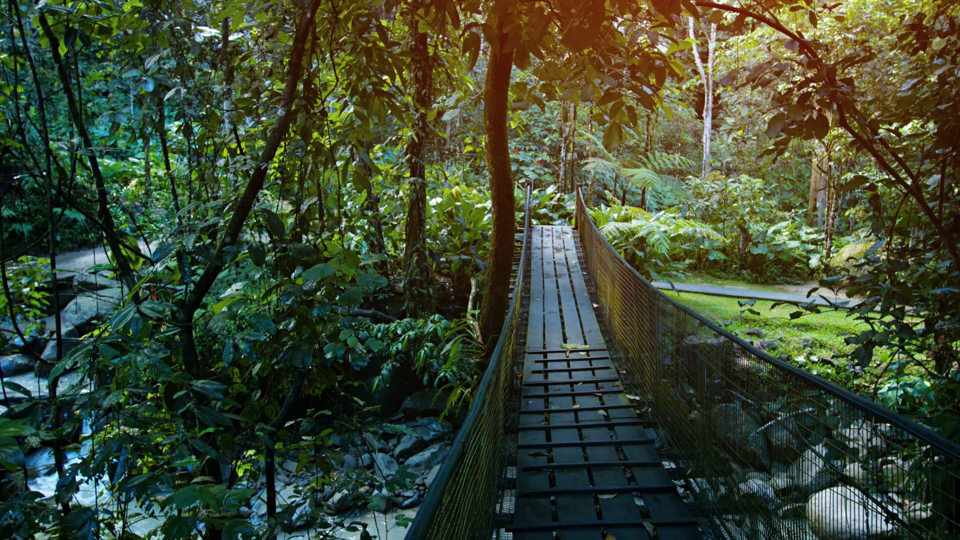Handmade Pedestrian Bridge over Stream at Nature Park in Borneo ...