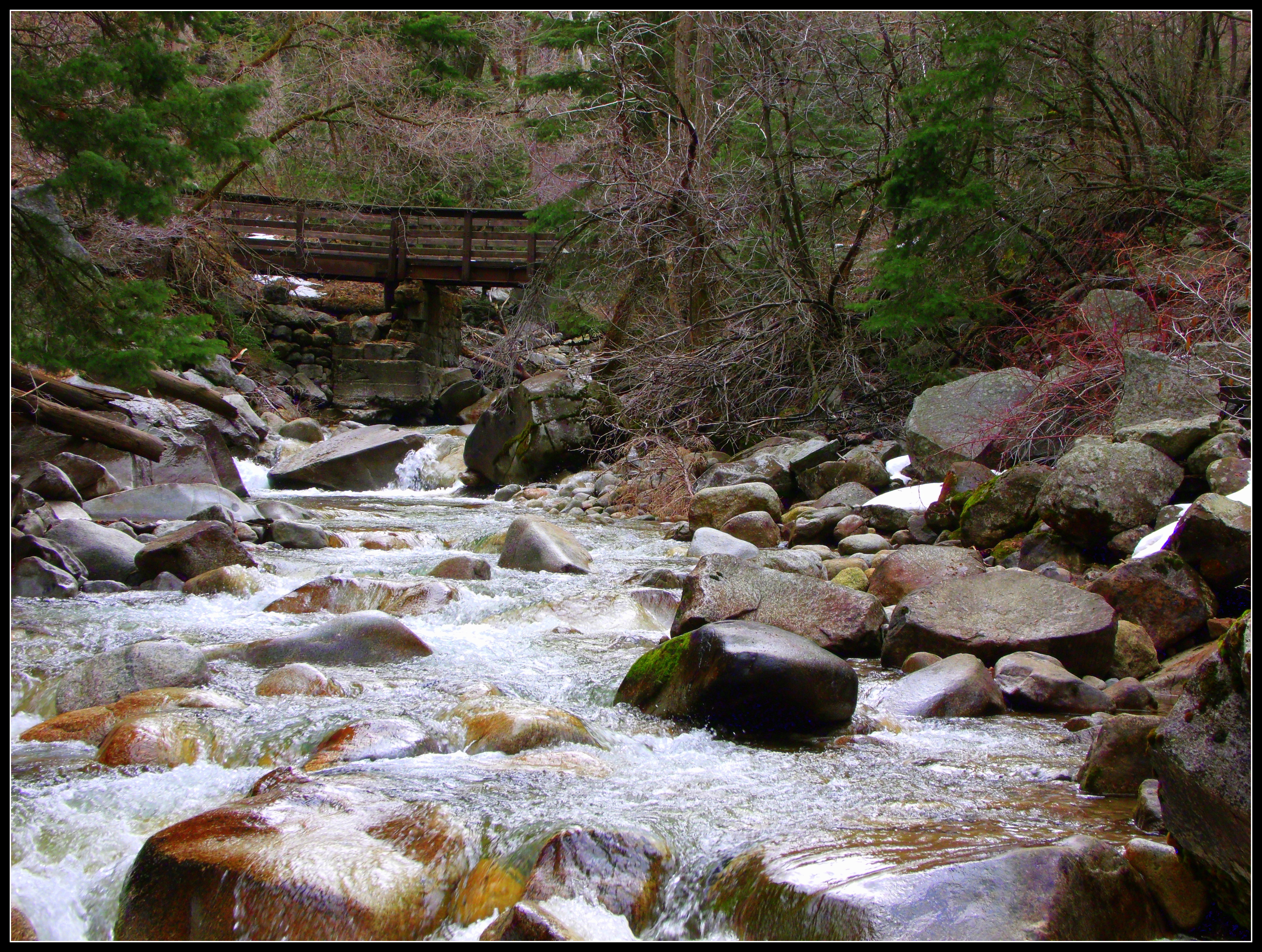 bridge over stream | Scott's Place...Images and Words