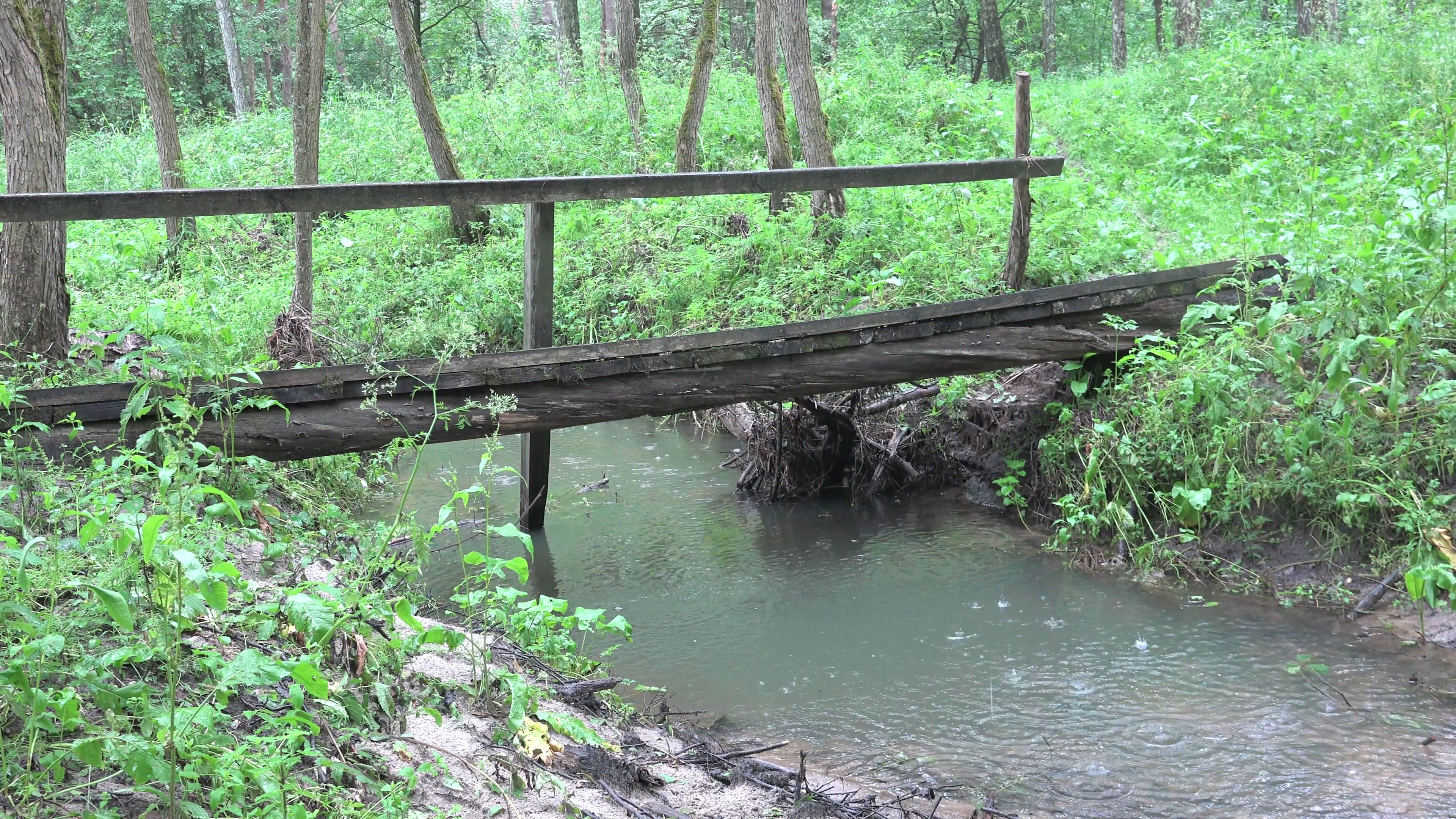 Old wooden bridge over a stream in green forest in the rain Stock ...