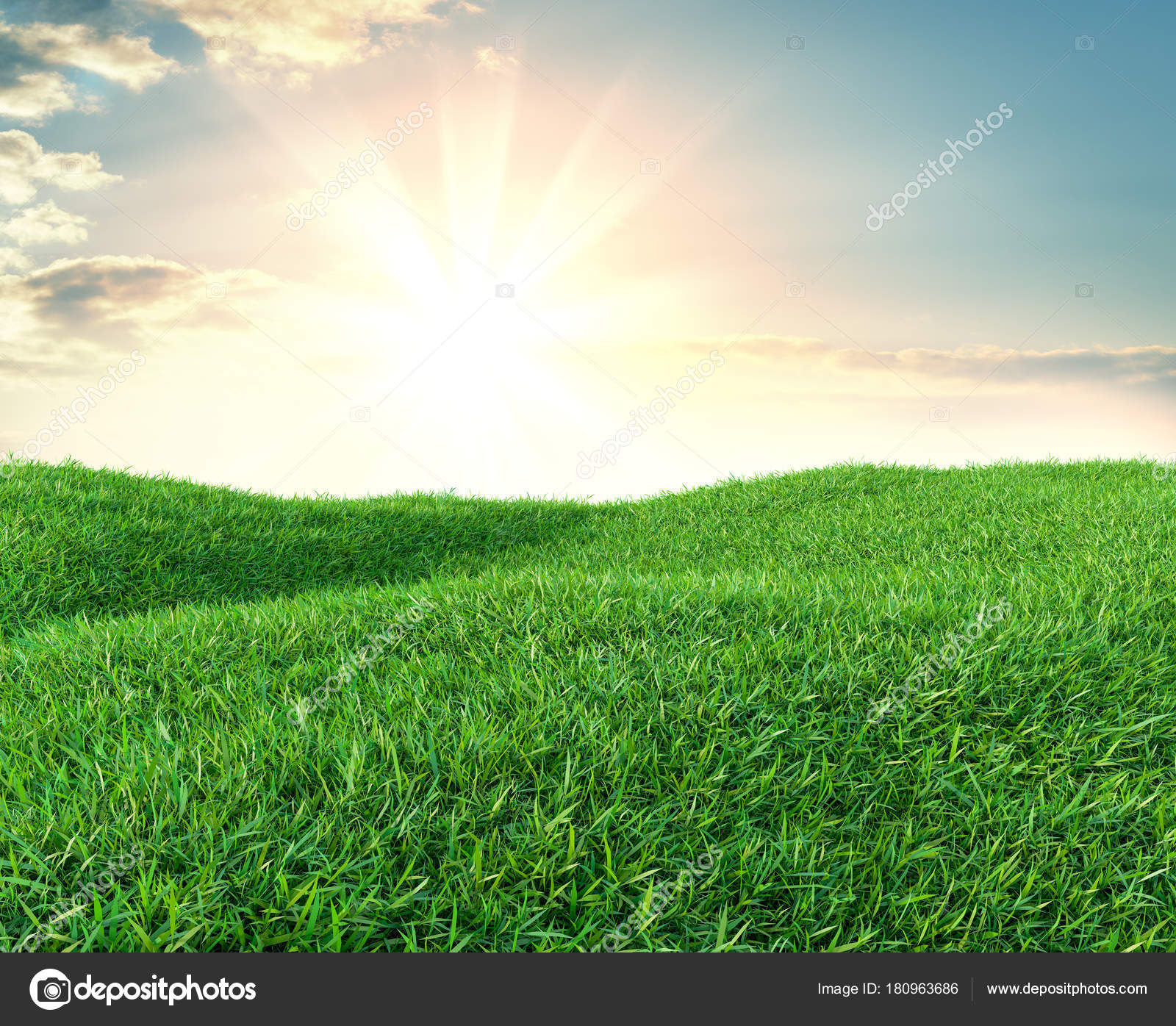 Image of green grass field and bright blue sky — Stock Photo ...