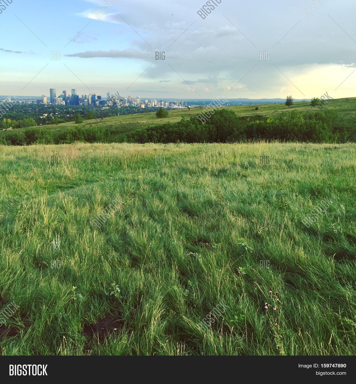 Summer Field Landscape. Field Hills Image & Photo | Bigstock