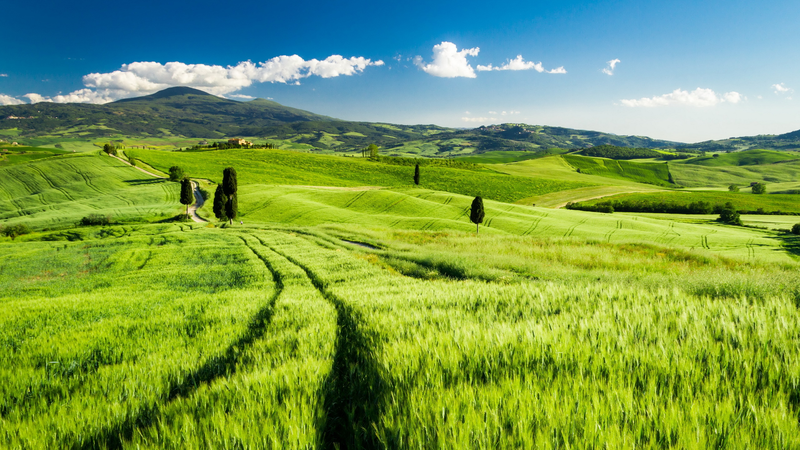 Bright Tuscany / 2560 x 1440 / Locality, Landscape / Photography ...
