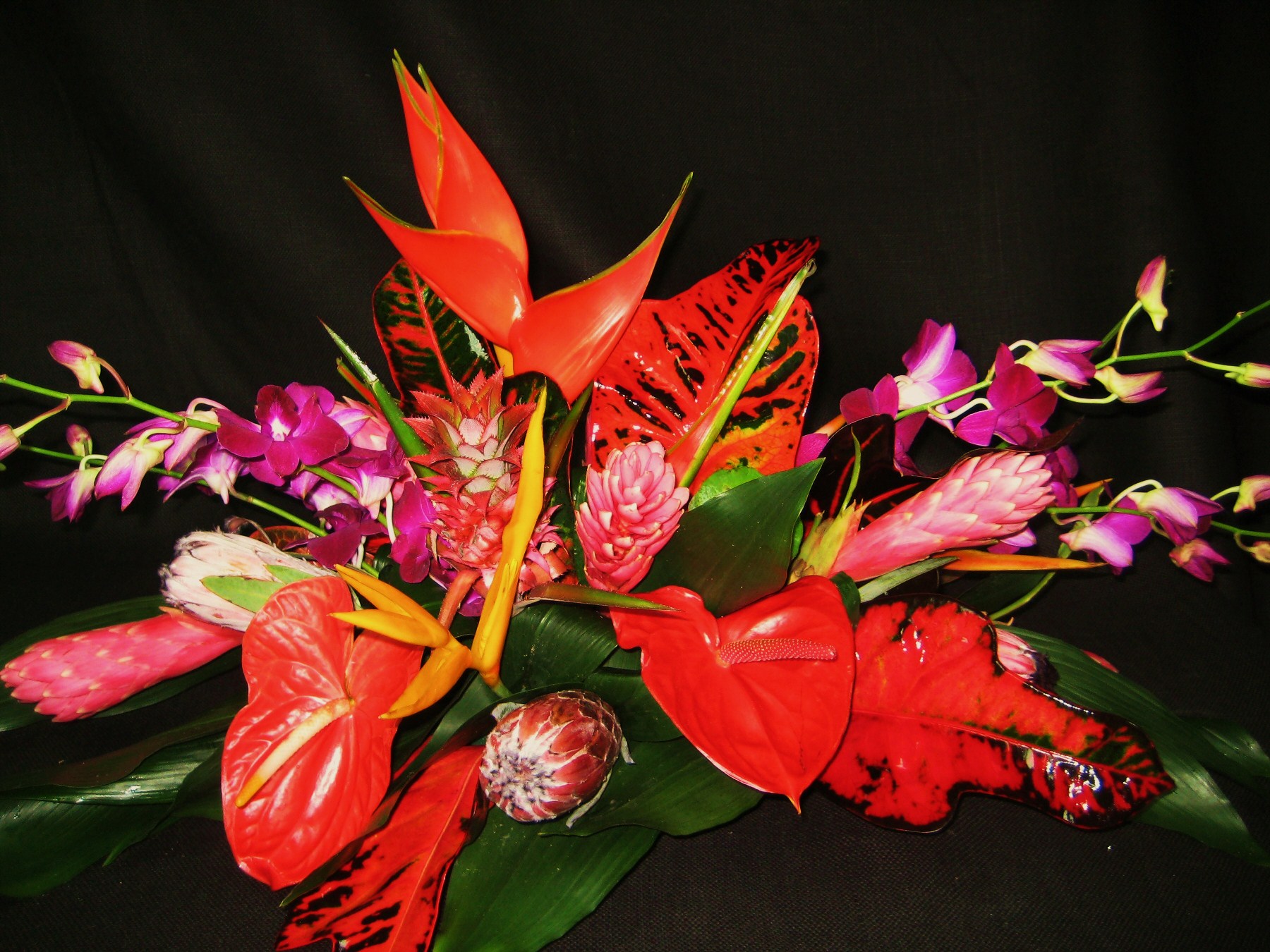 Bright tropical flowers photo
