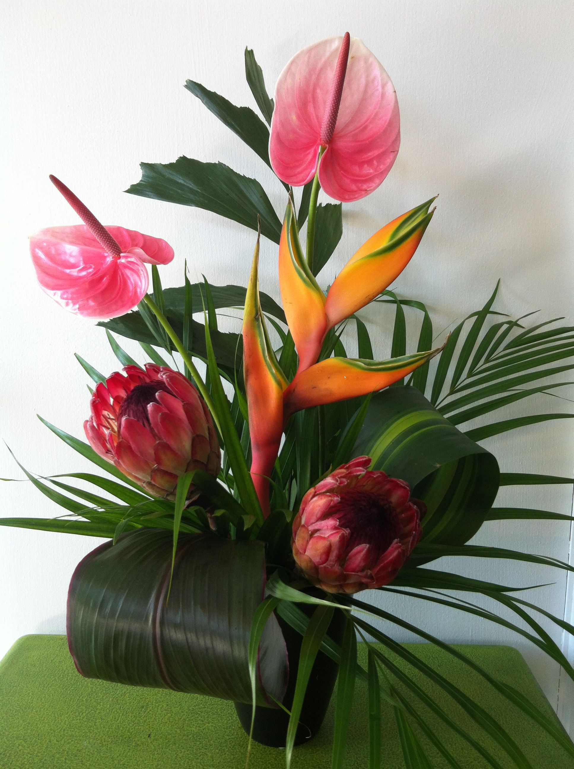 Bright Colors of Exotic Flowers Bring That Sunny Feeling Home ...