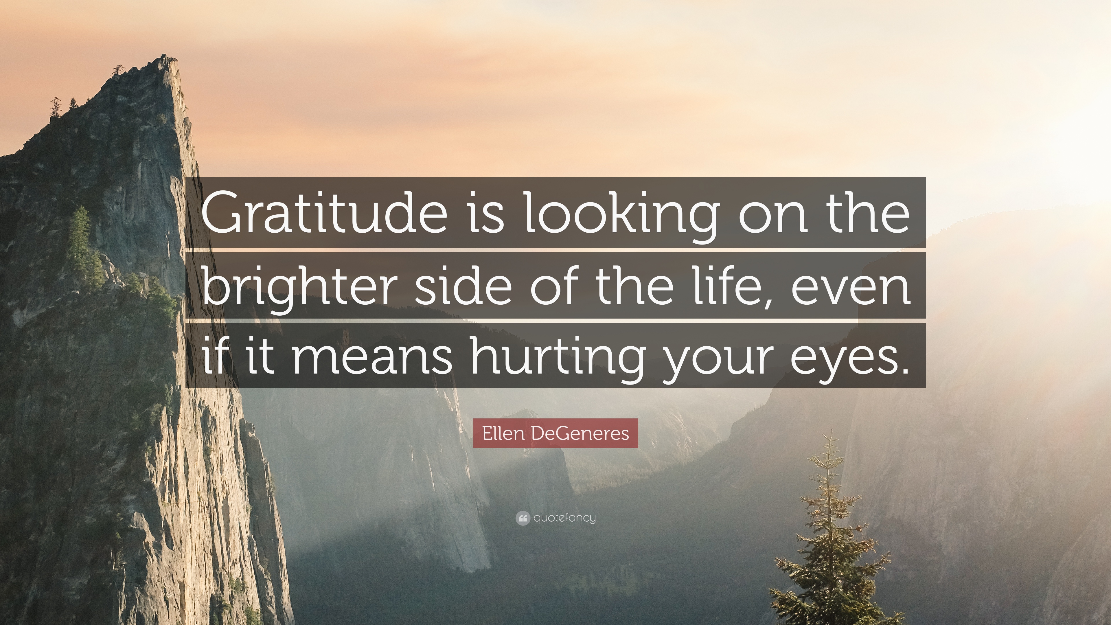 Ellen DeGeneres Quote: “Gratitude is looking on the brighter side of ...