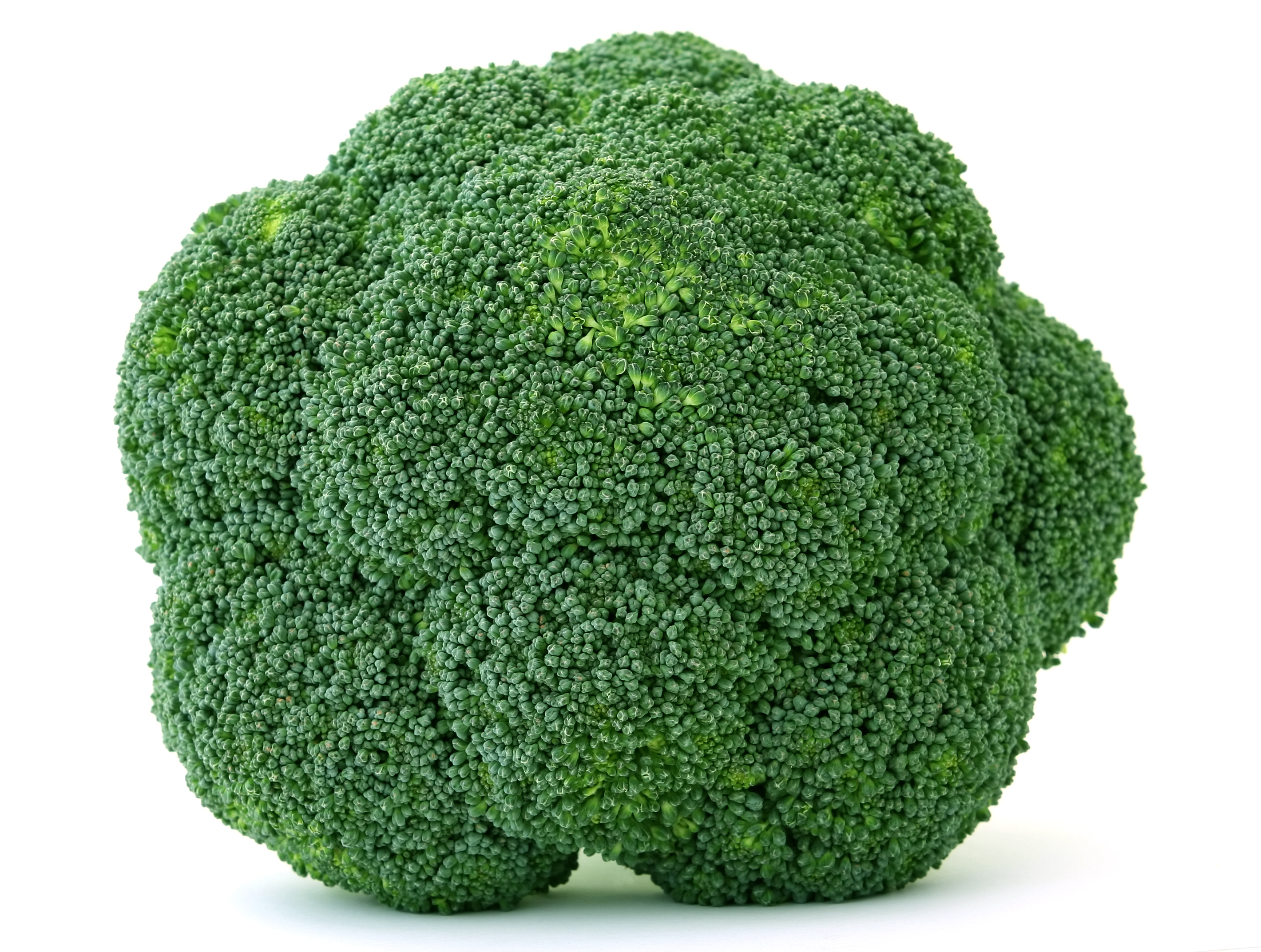 Broccoli – Sing Kee Kaya