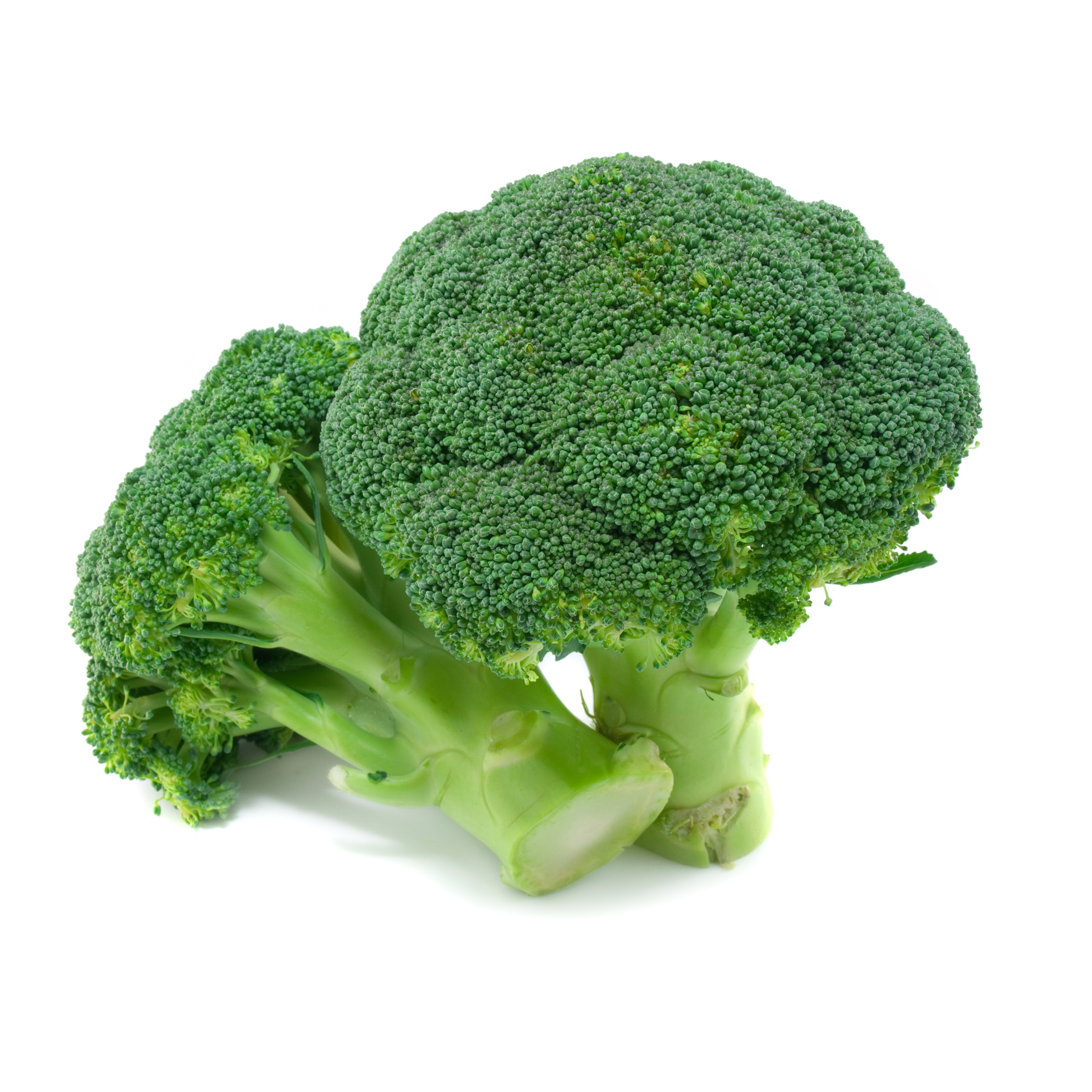 Broccoli (1 bunch) – Clean 15, Québec – 1000prods one healthy community