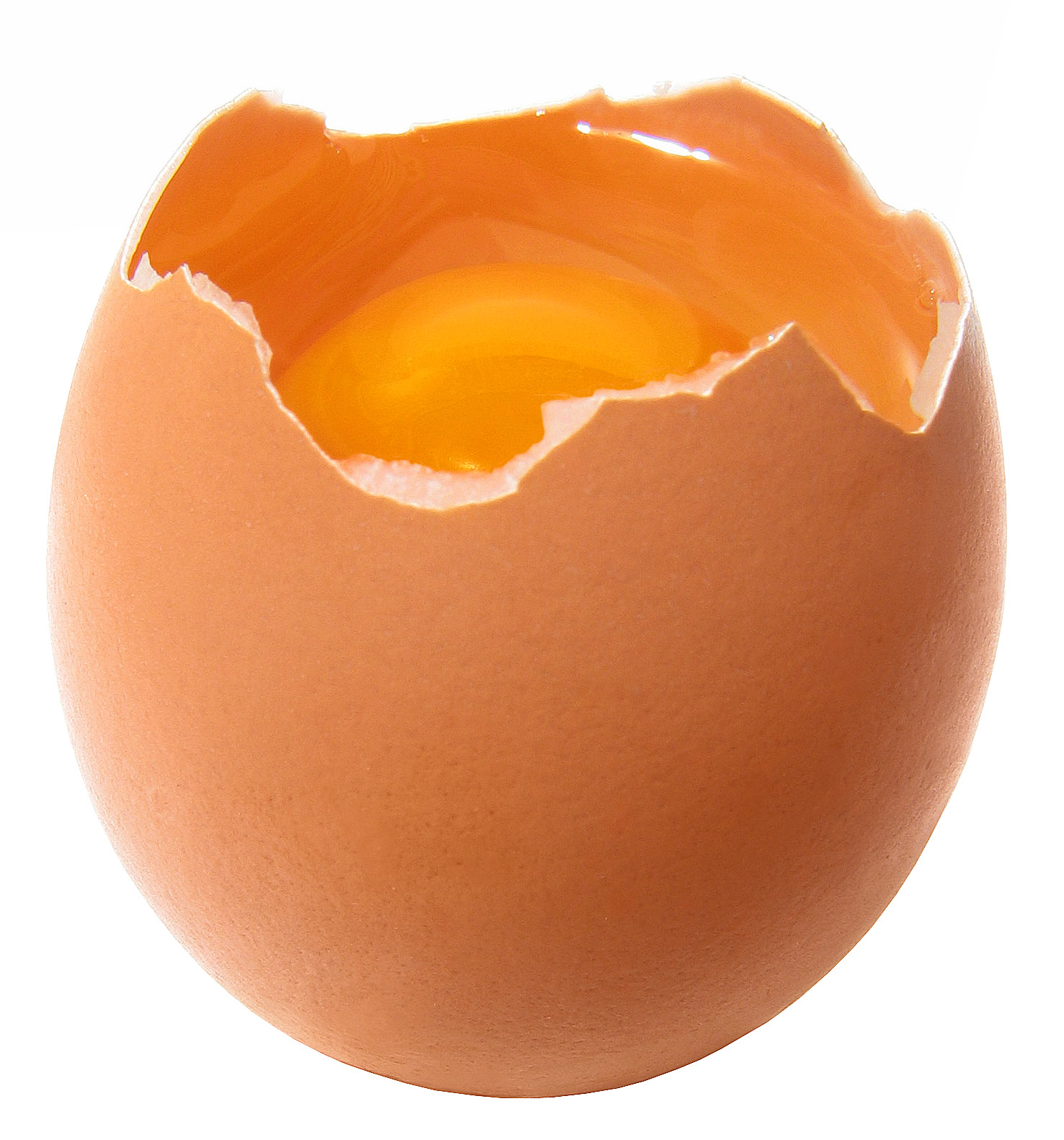Broken Egg Pictures - Freaking News