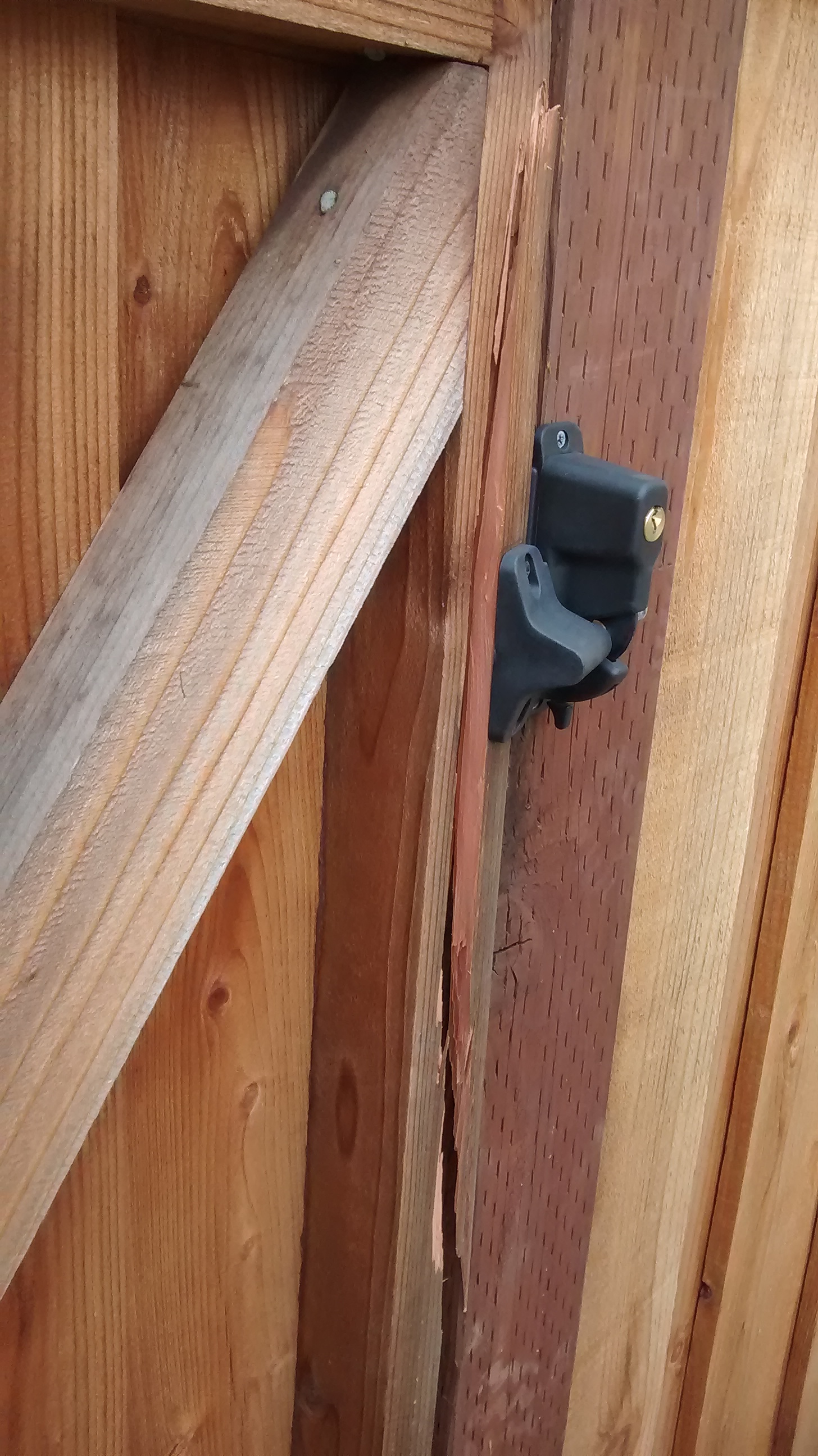How to fix this broken wood door? (how much, Home Depot, Lowes ...