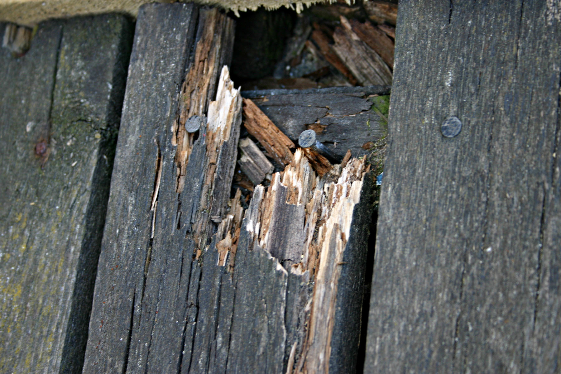 Broken wook plank with nails, Broken, Closeup, Nails, Plank, HQ Photo