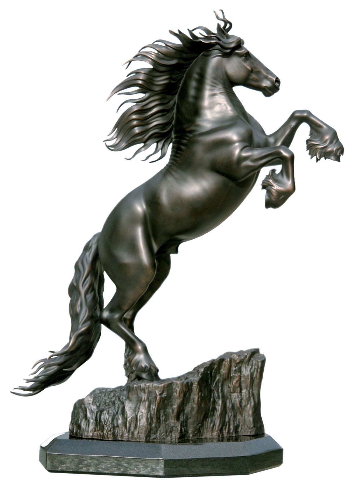 Friedom | anatomy horse | Pinterest | Horse, Horse sculpture and ...