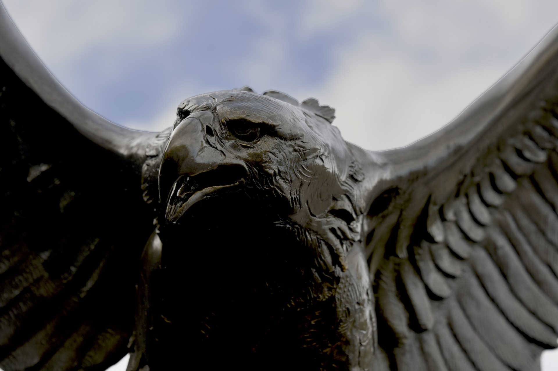 Bronze Eagle Closeup Free Stock Photo - Public Domain Pictures