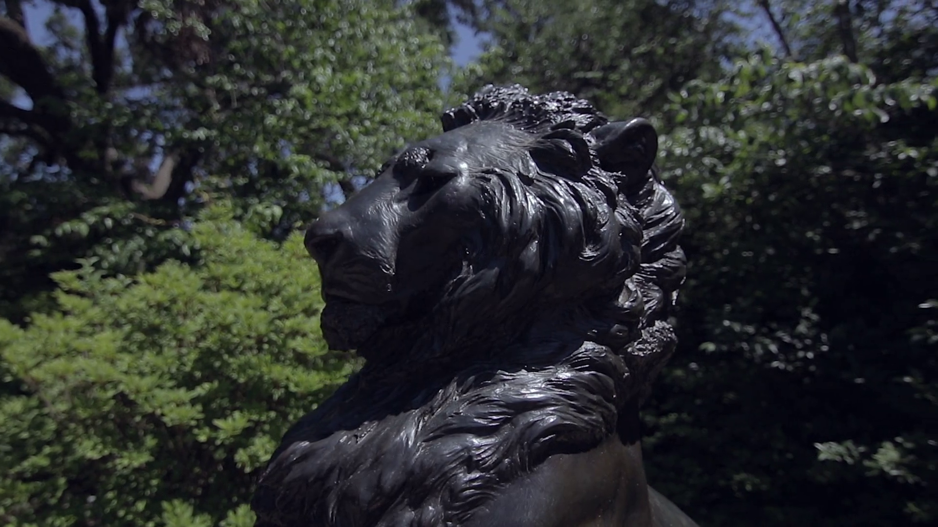 Proud Lion statue in bronze | Gimbal Rotation Close Up Stock Video ...