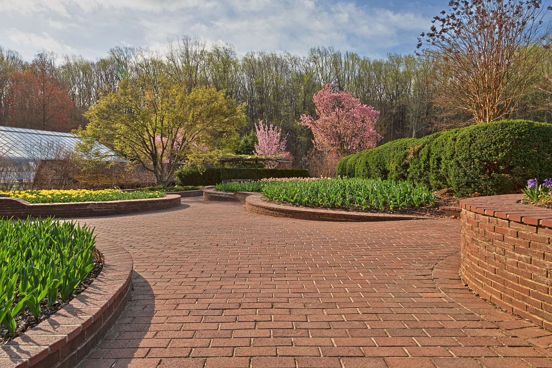 Brookside Gardens Path - HDR