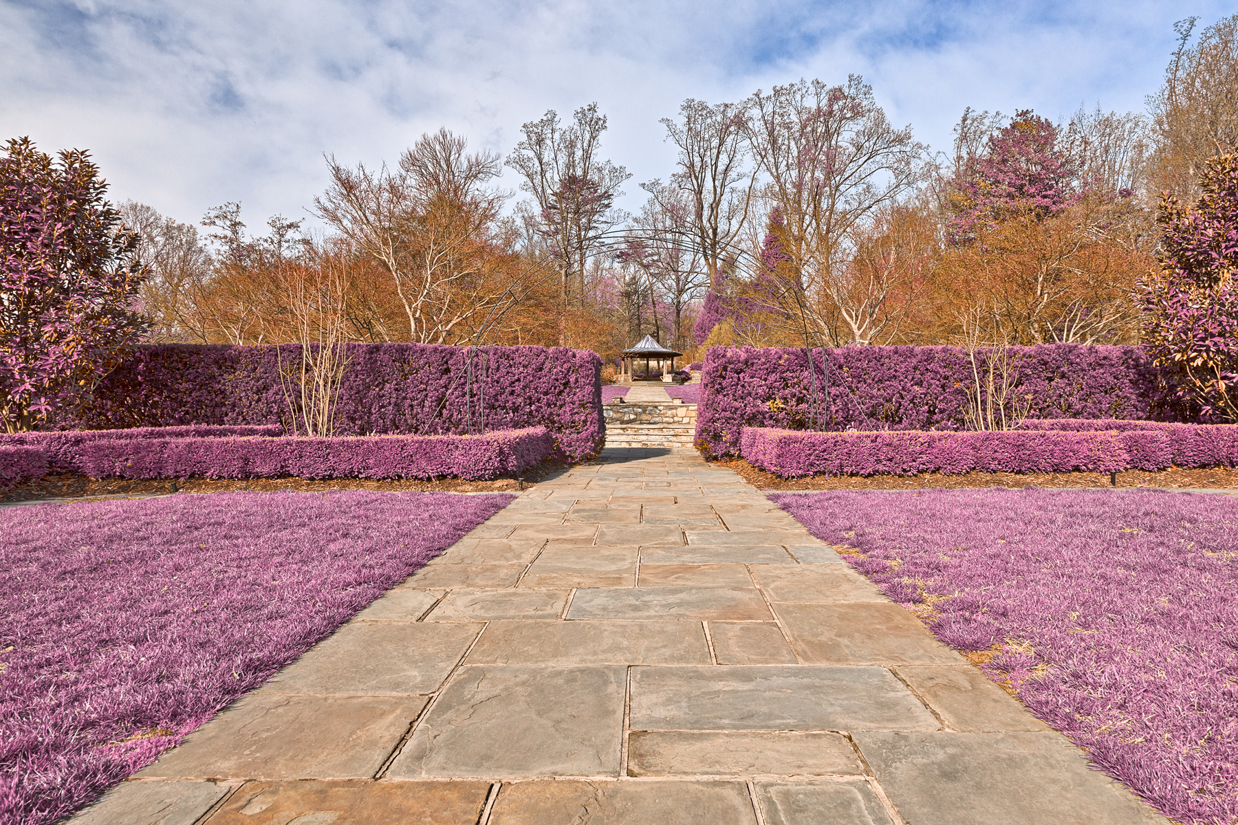 Brookside gardens path - ultra violet hd photo