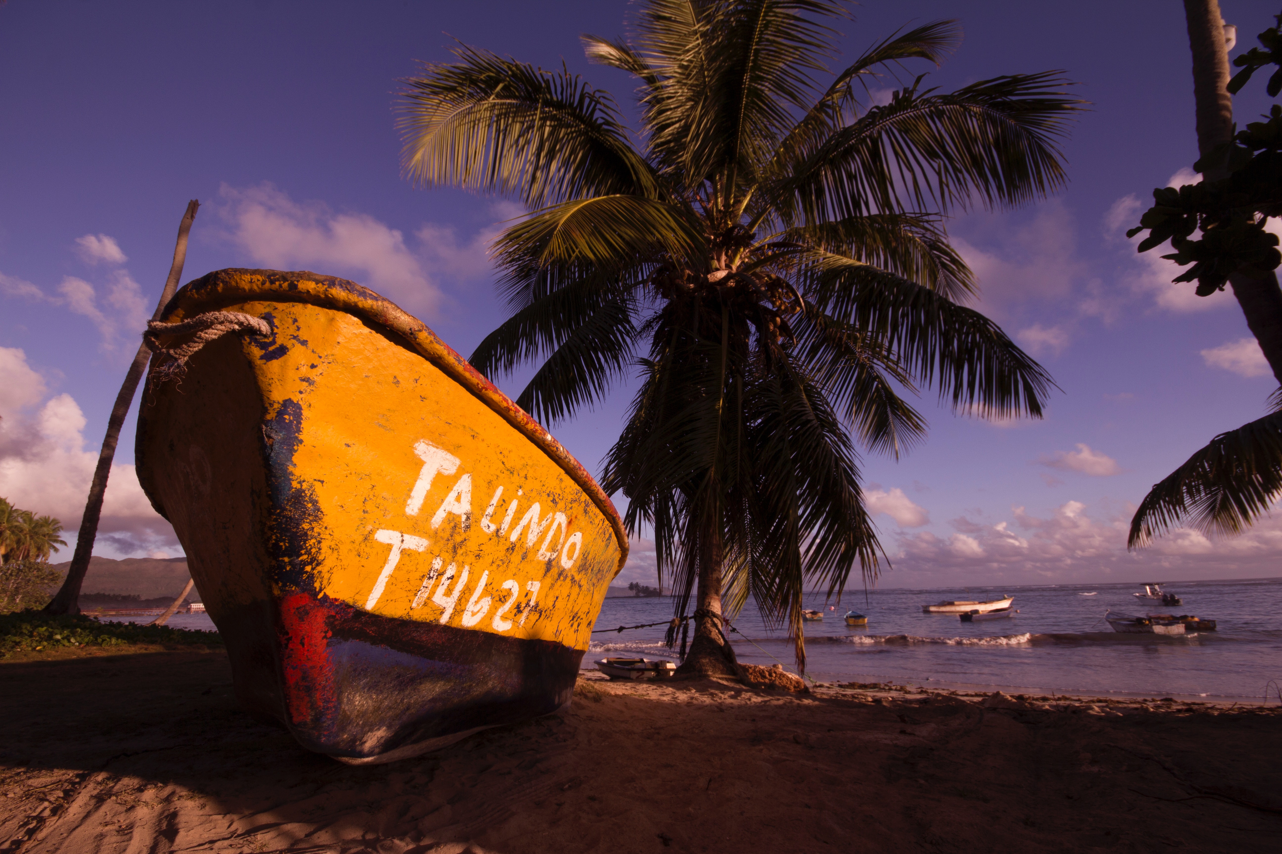 Brown and black boat on shore near coconut trees under blue sky and clouds photo