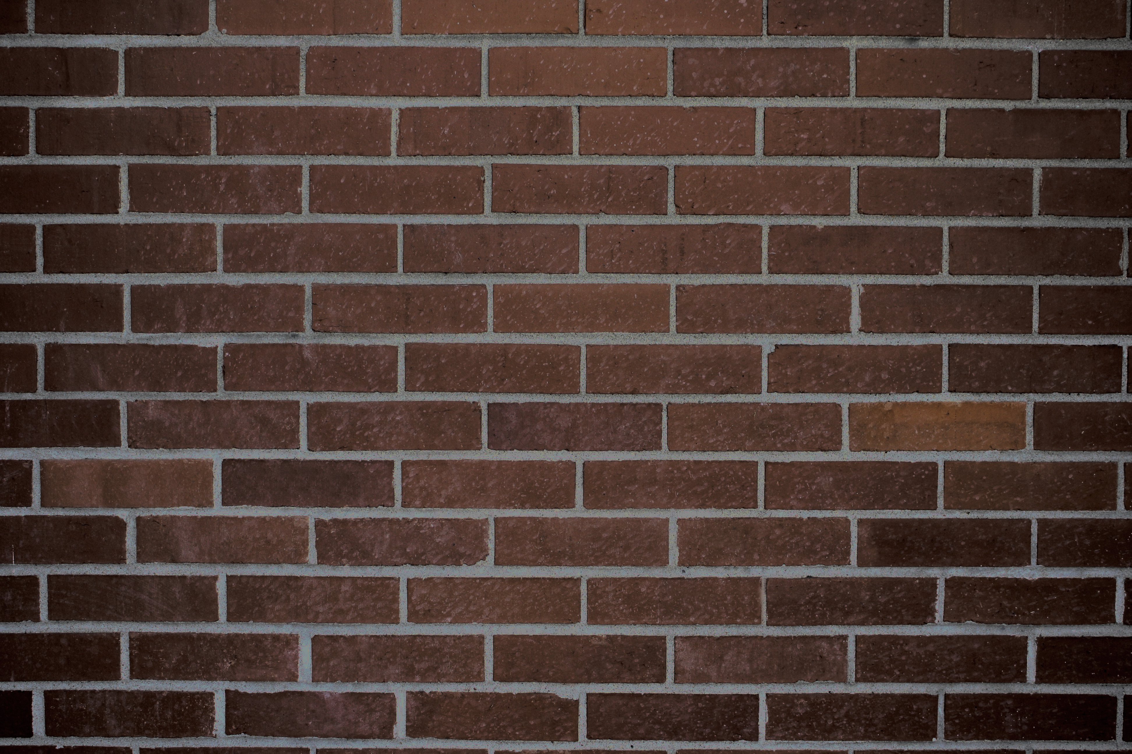 Dark Brown Brick Wall Texture Picture | Free Photograph | Photos ...