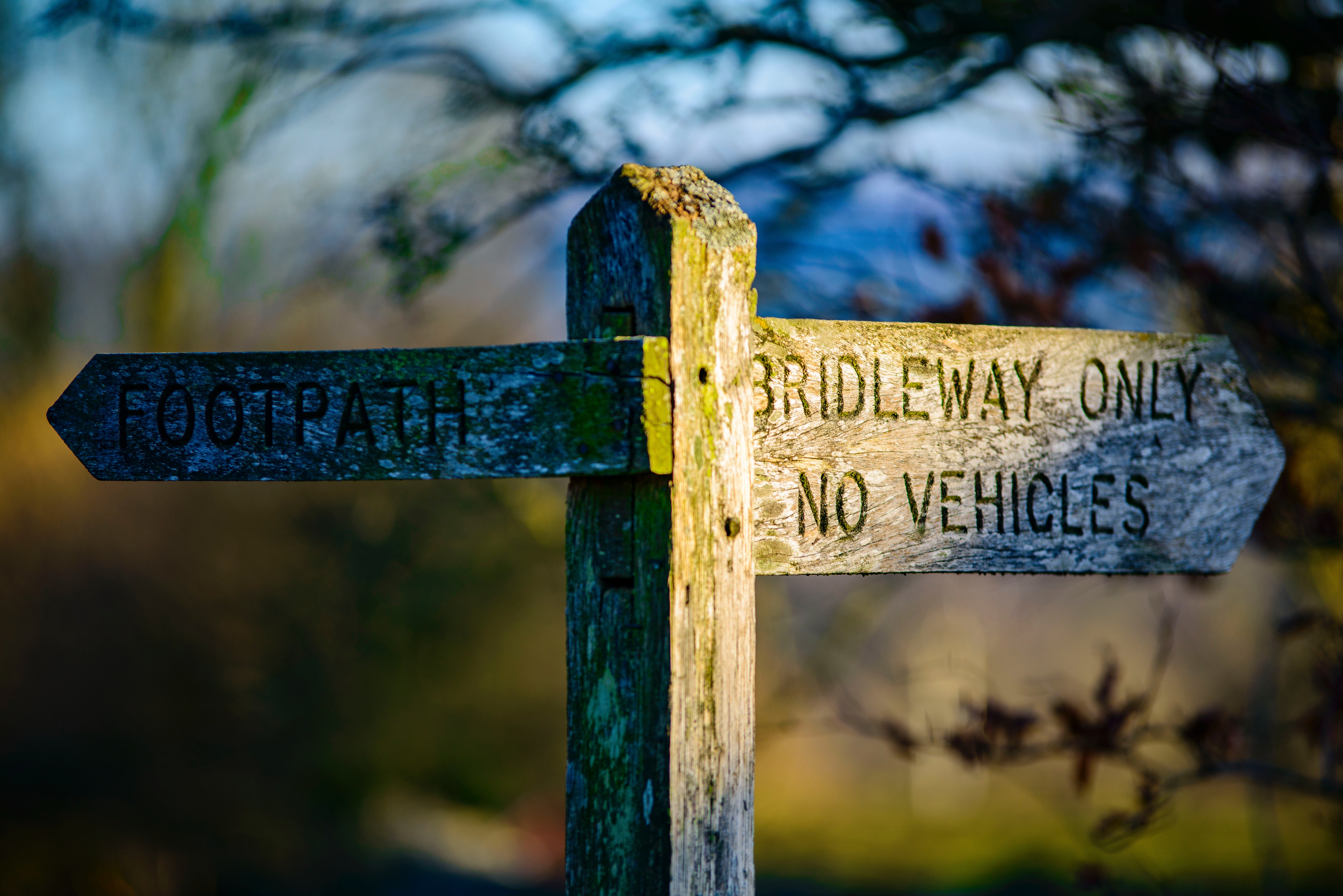 Brown bridleway only wooden signgage photo