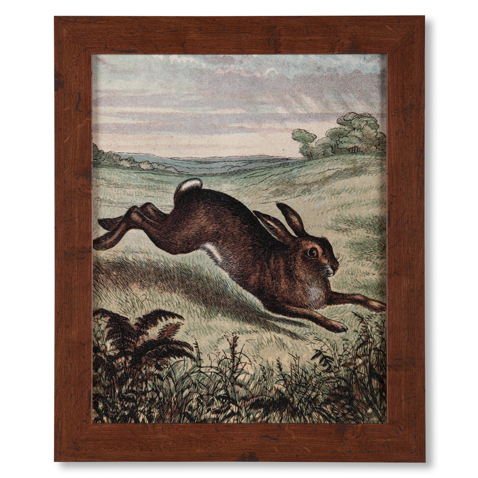 Vintage Brown Bunny Framed Print | Sturbridge Yankee Workshop
