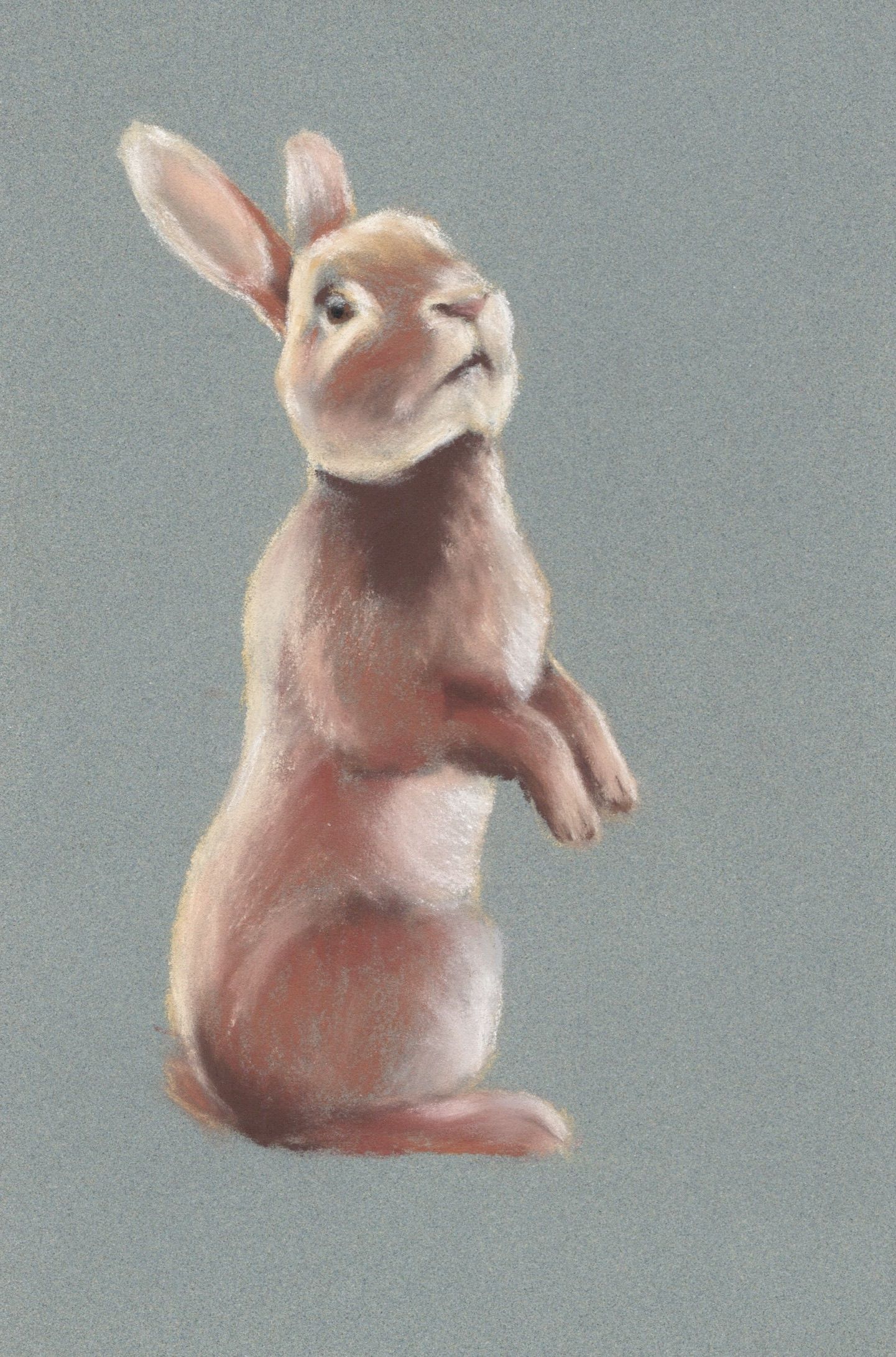Brown Bunny, animal, painting, artwork | Artwork by Ju Costain ...