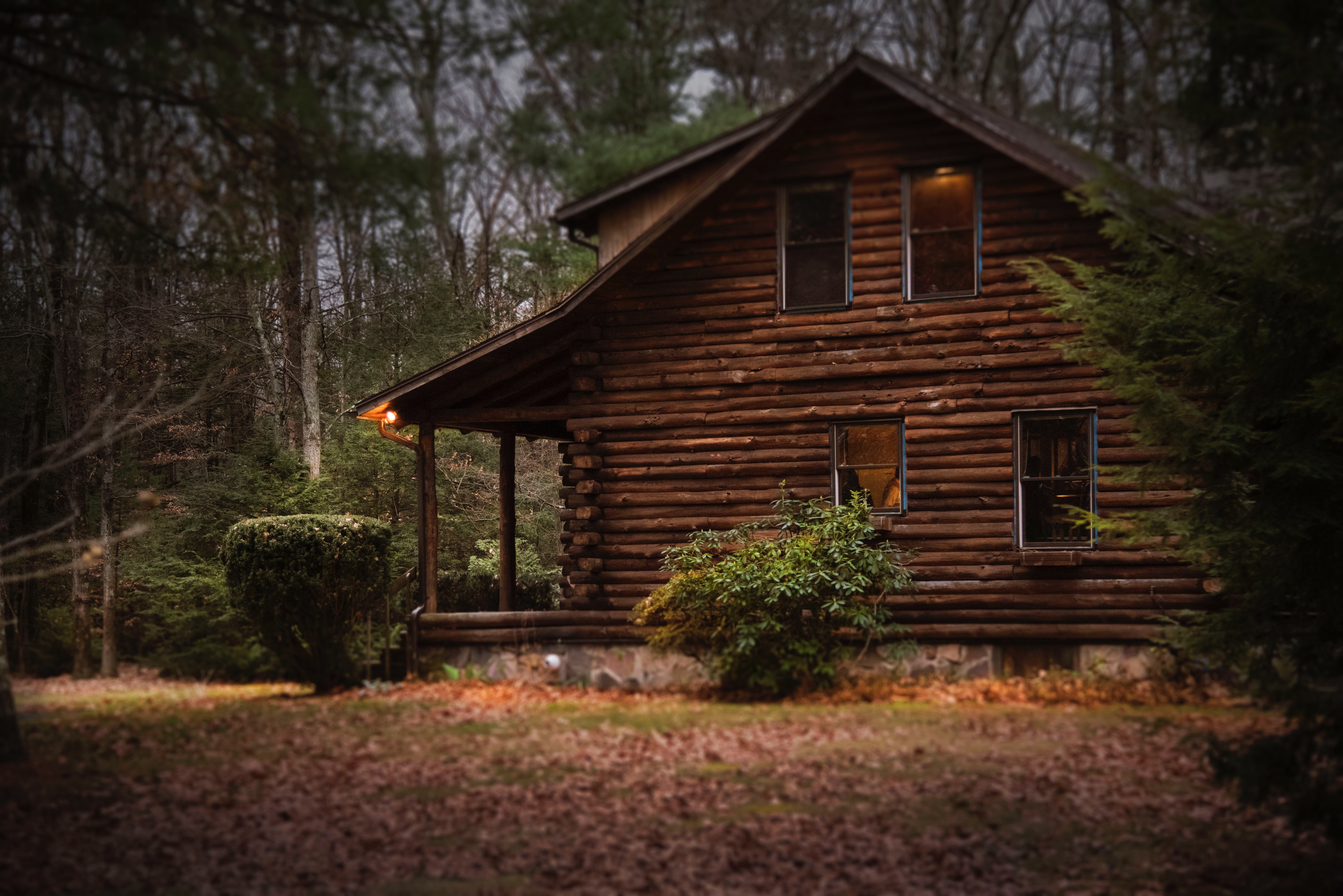 Brown cabin in the woods on daytime photo