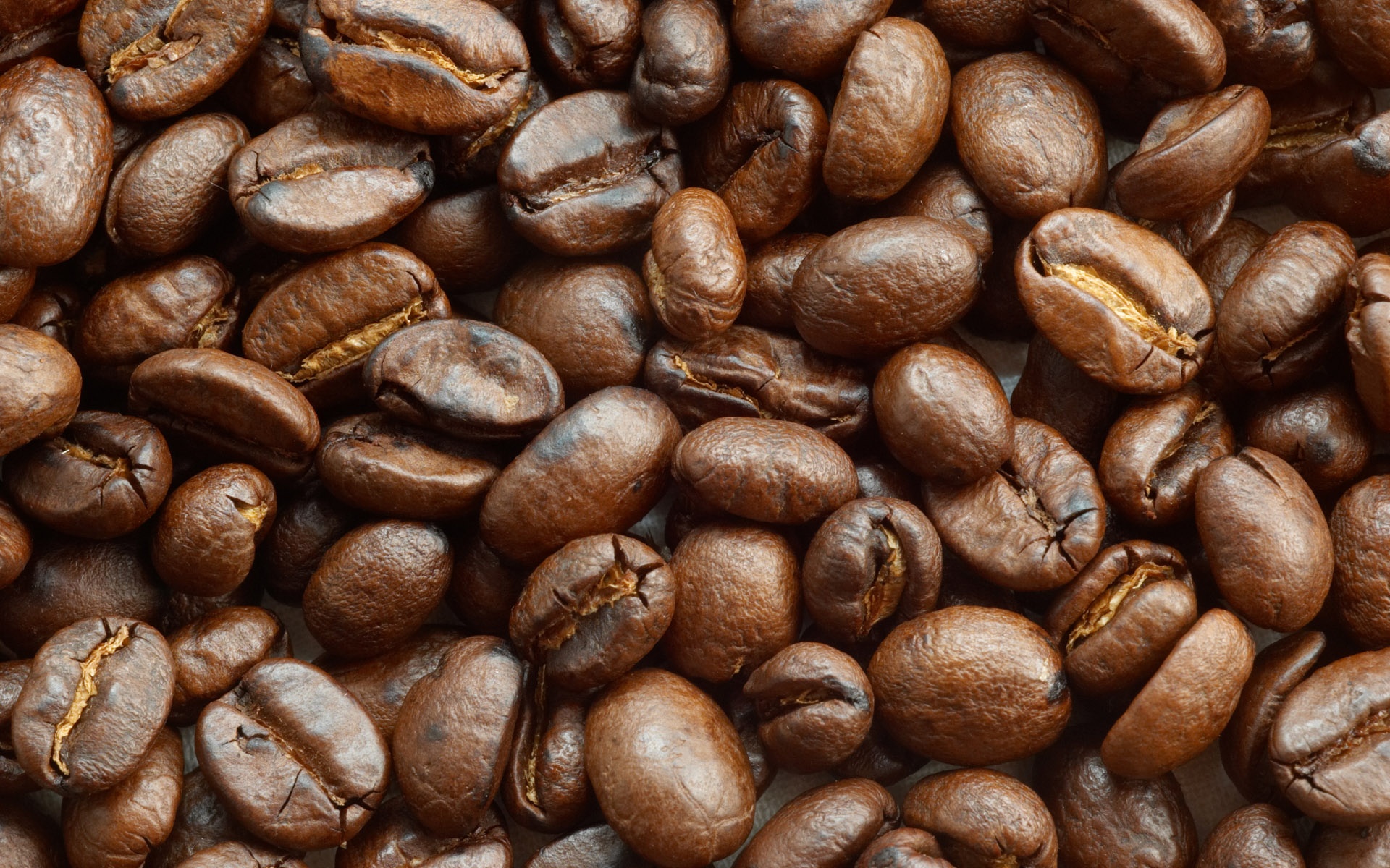 Coffee Bean Wiki - Coffee Drinker