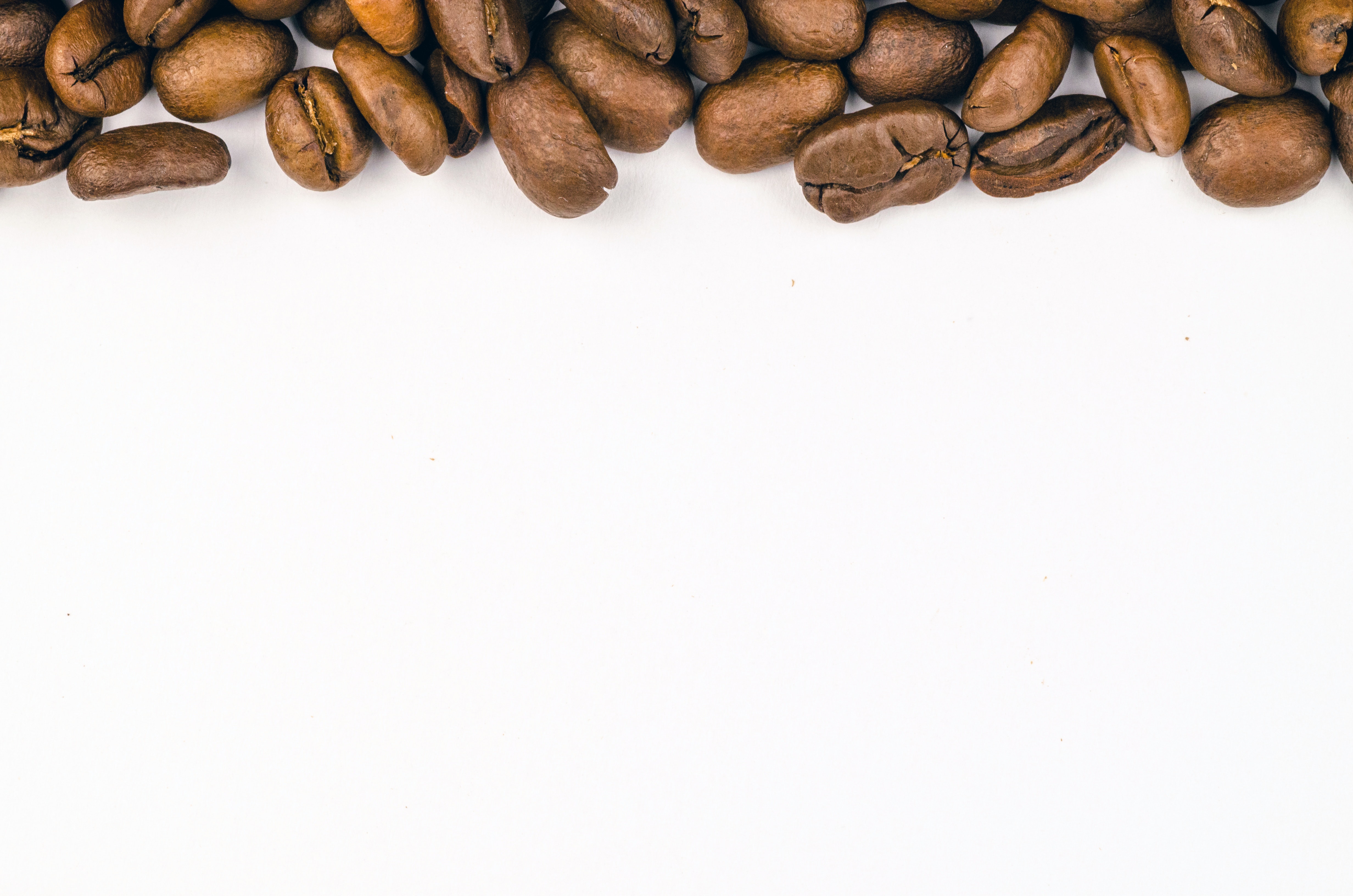 Brown coffee bean photo