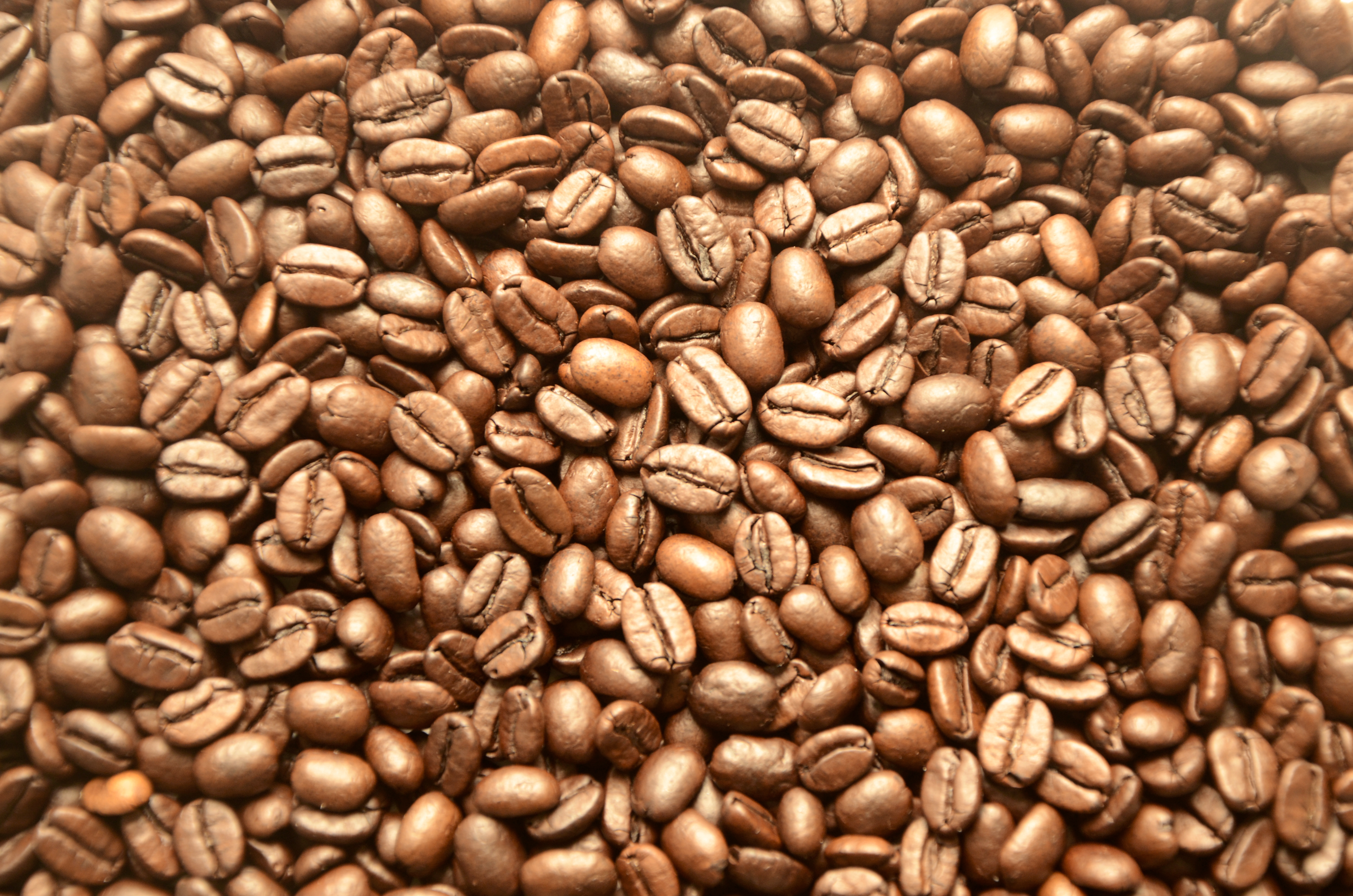 Fresh Brown Coffee Beans Background Tex | Design Bundles
